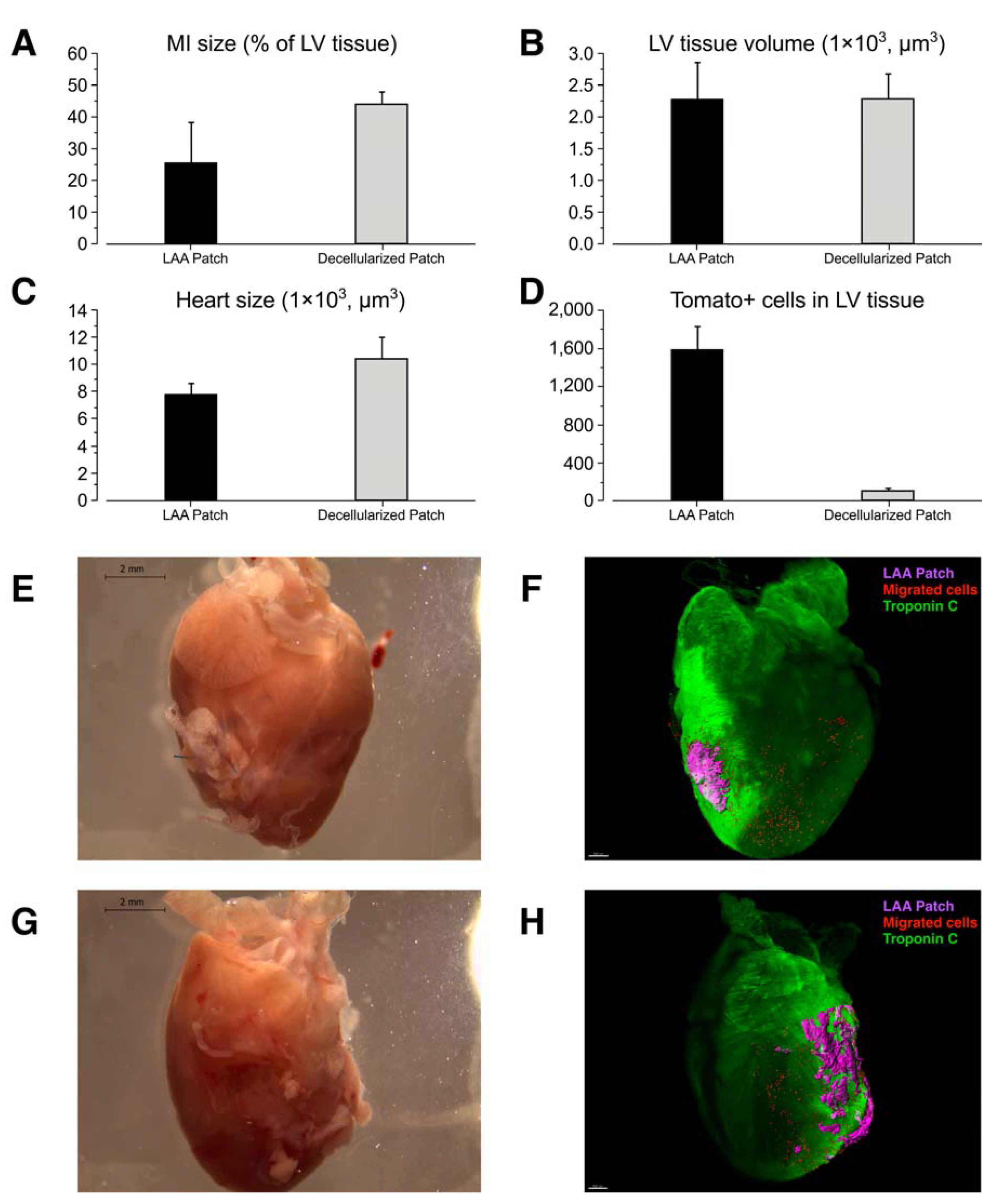 Ijms 23 04661 g004 550
