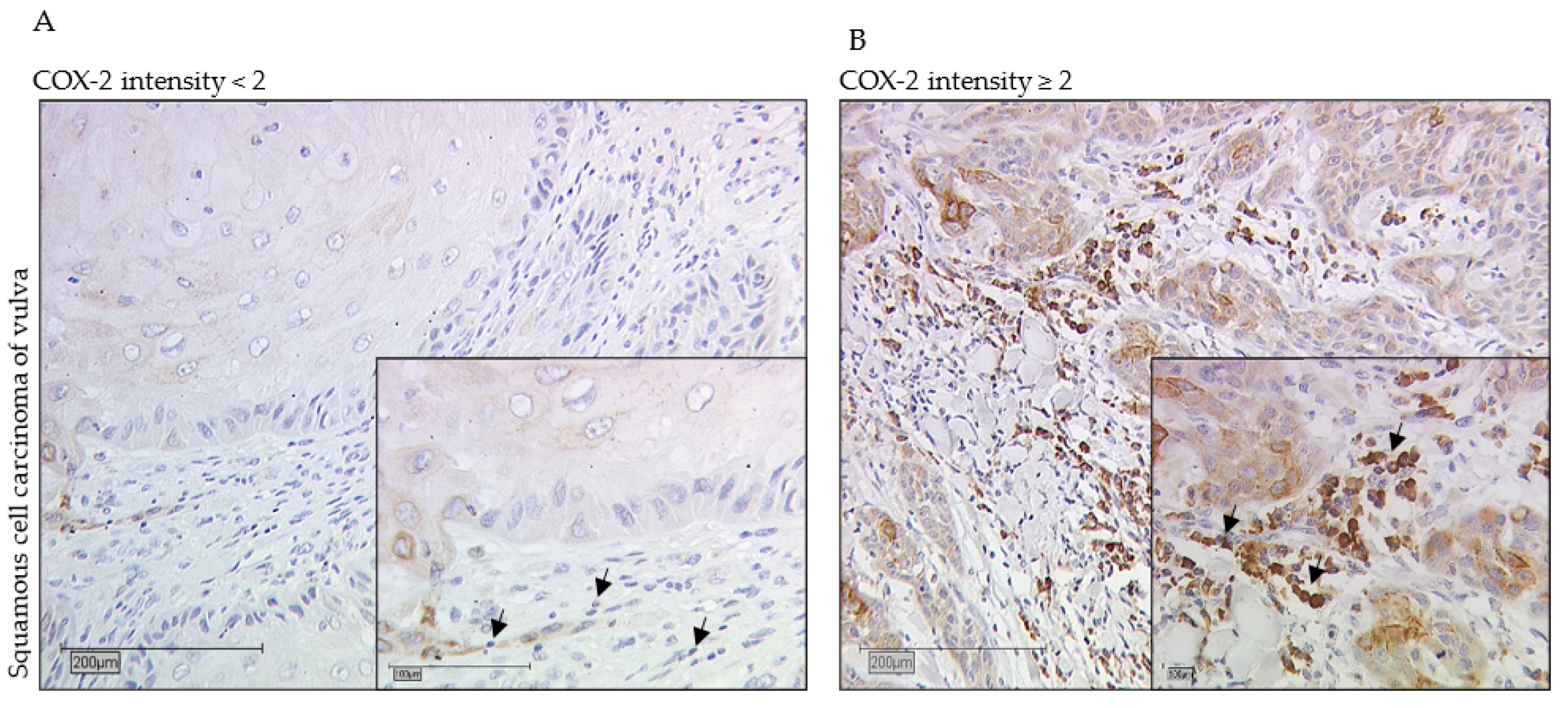 Ijms 23 04662 g001a Ijms 23 04662 g001a