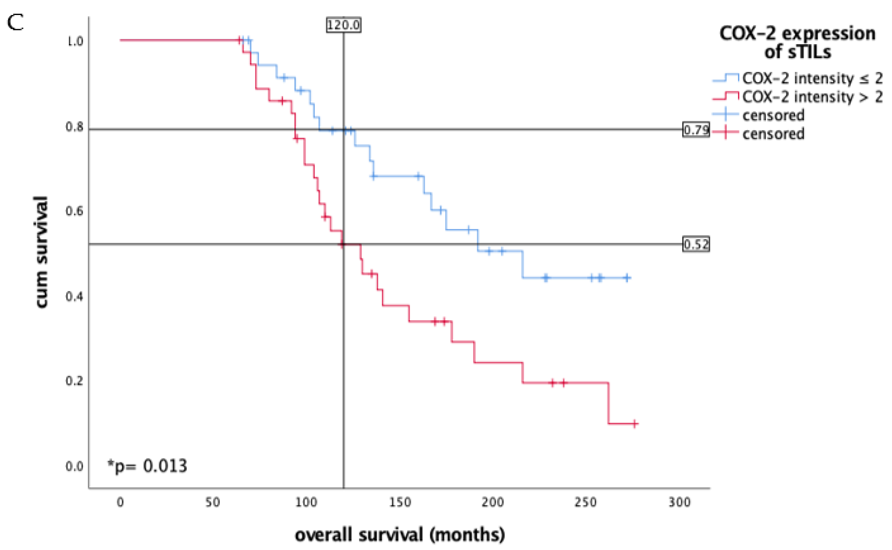 Ijms 23 04662 g001b Ijms 23 04662 g001b