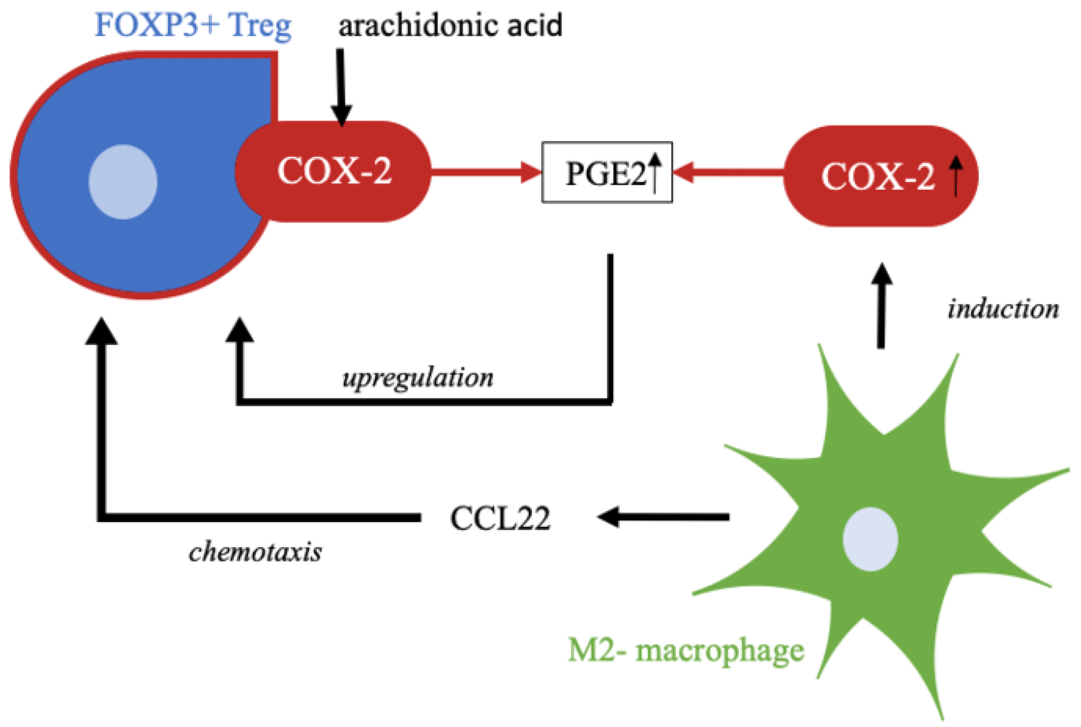 Ijms 23 04662 g005 Ijms 23 04662 g005