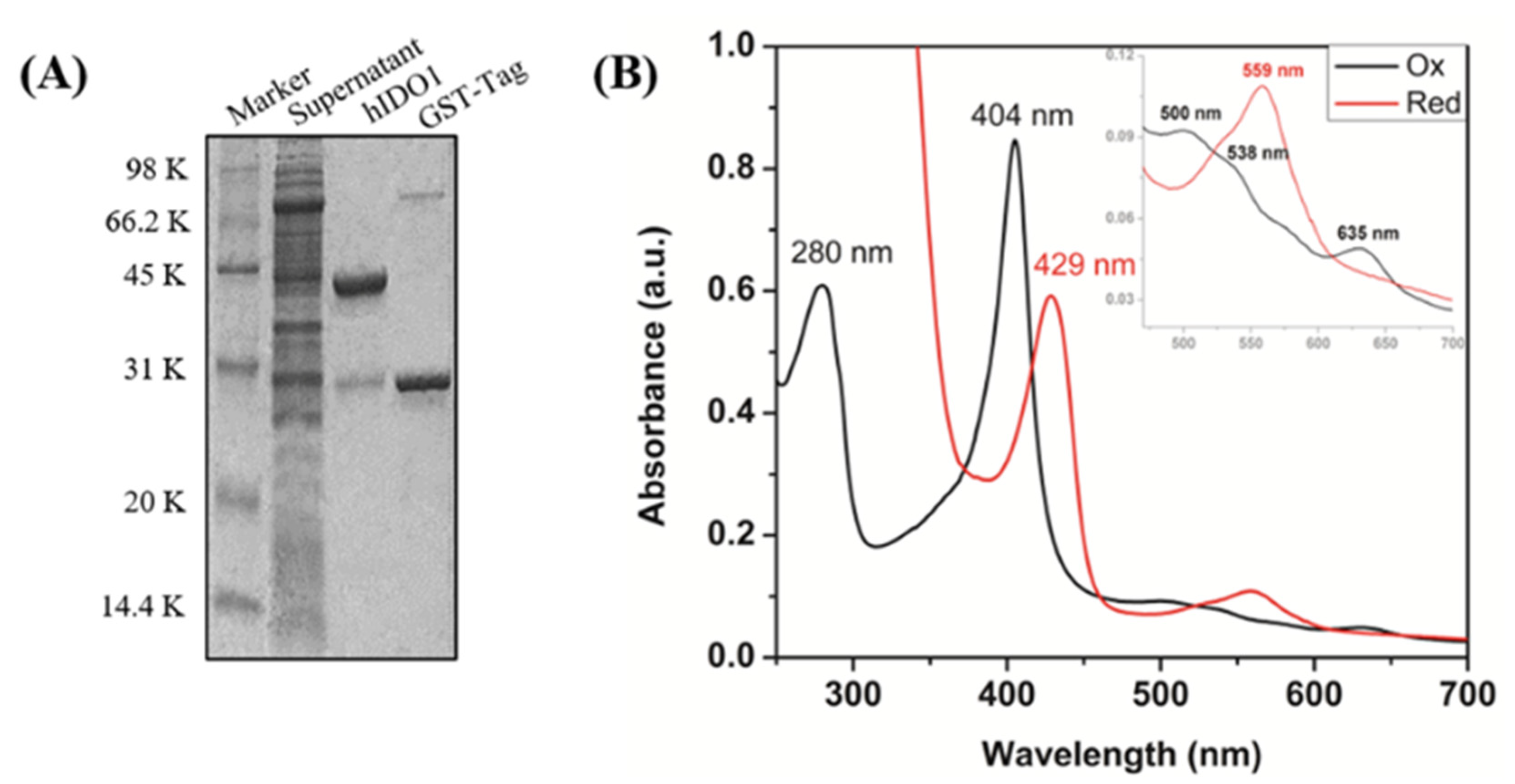 Ijms 23 04668 g002 550