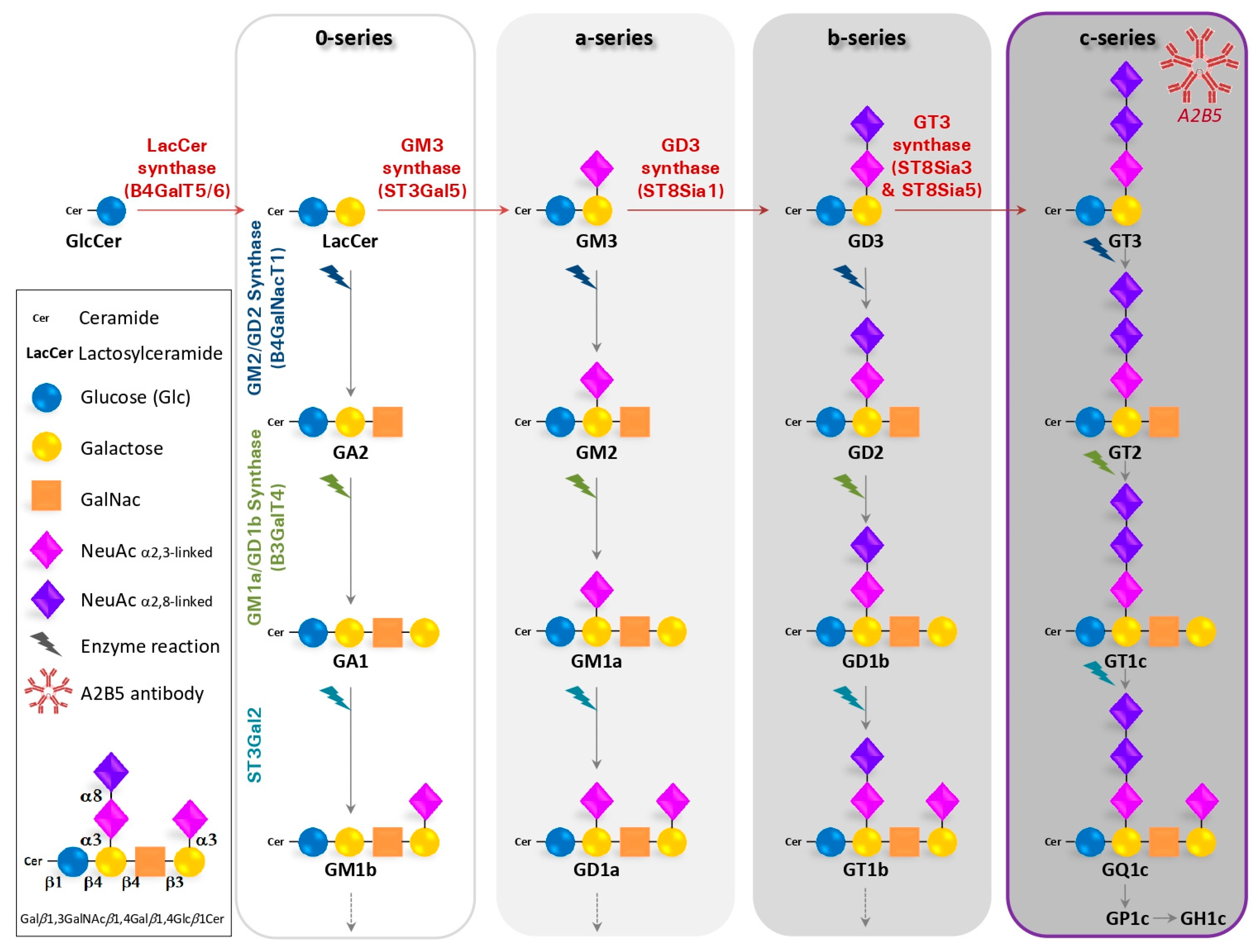 Ijms 23 04670 g001 550