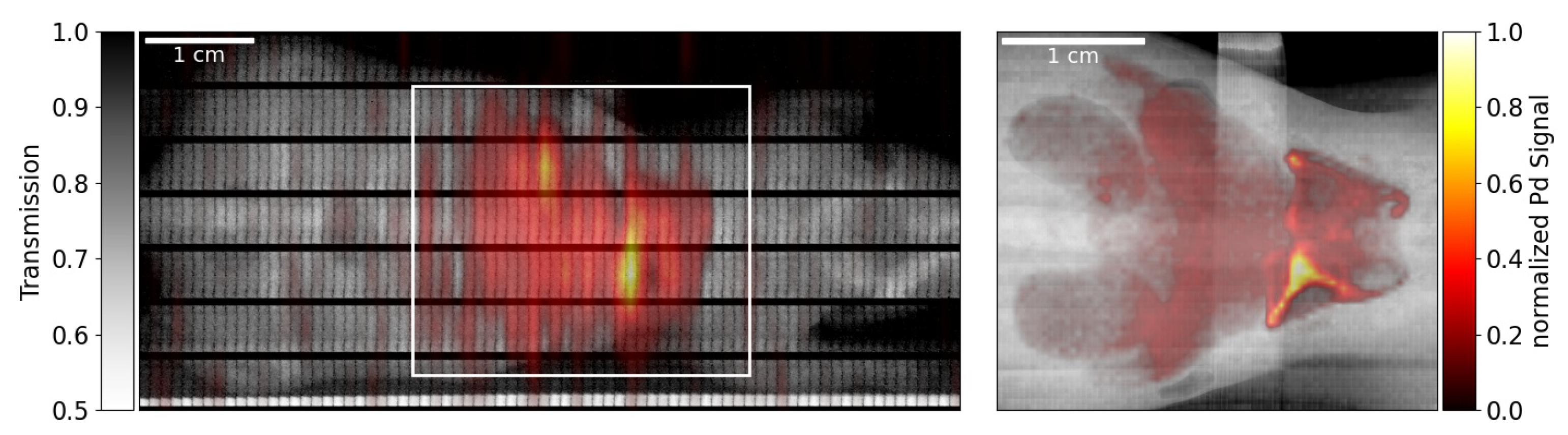 Ijms 23 04673 g004 550