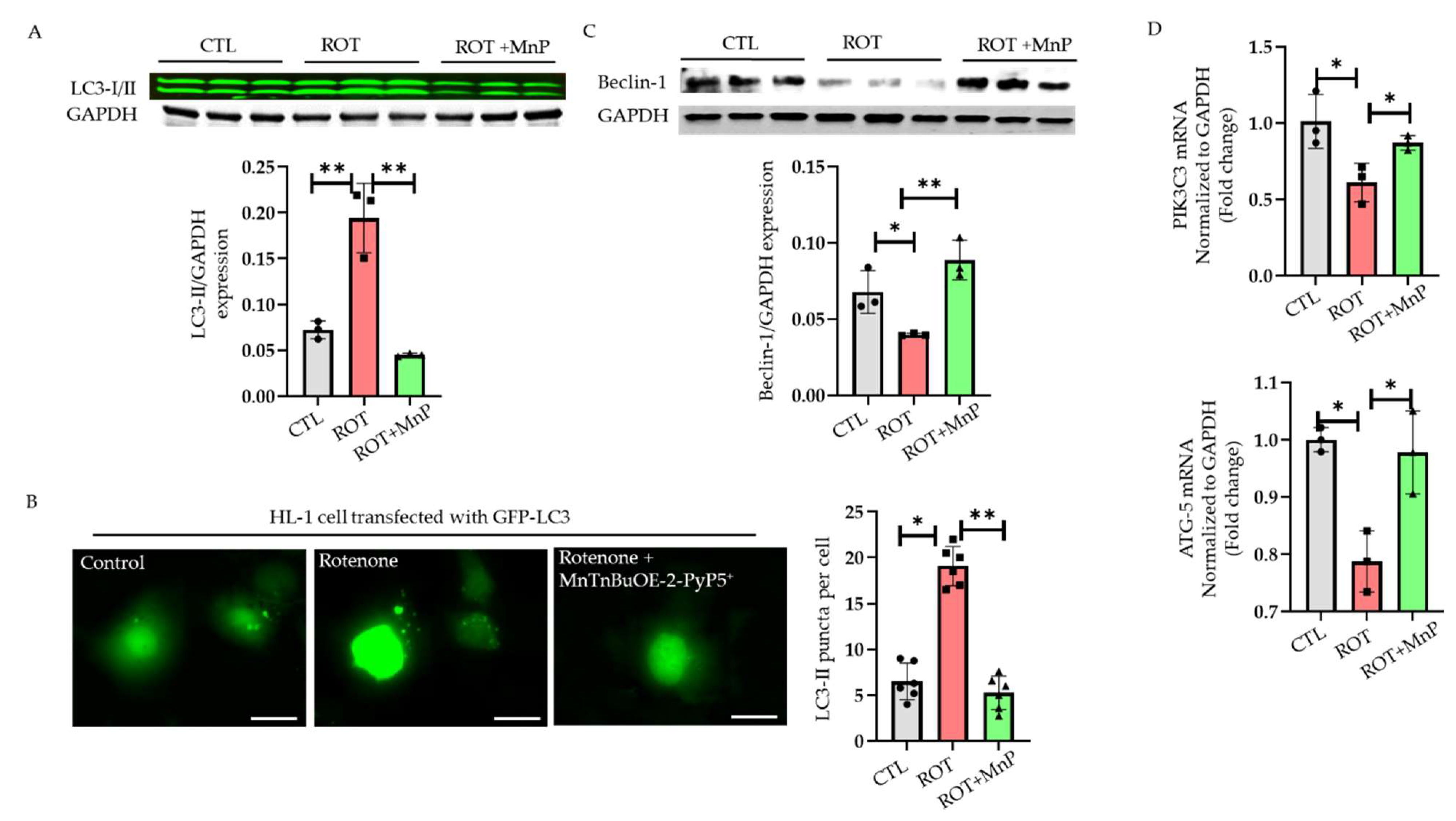 Ijms 23 04675 g004 550