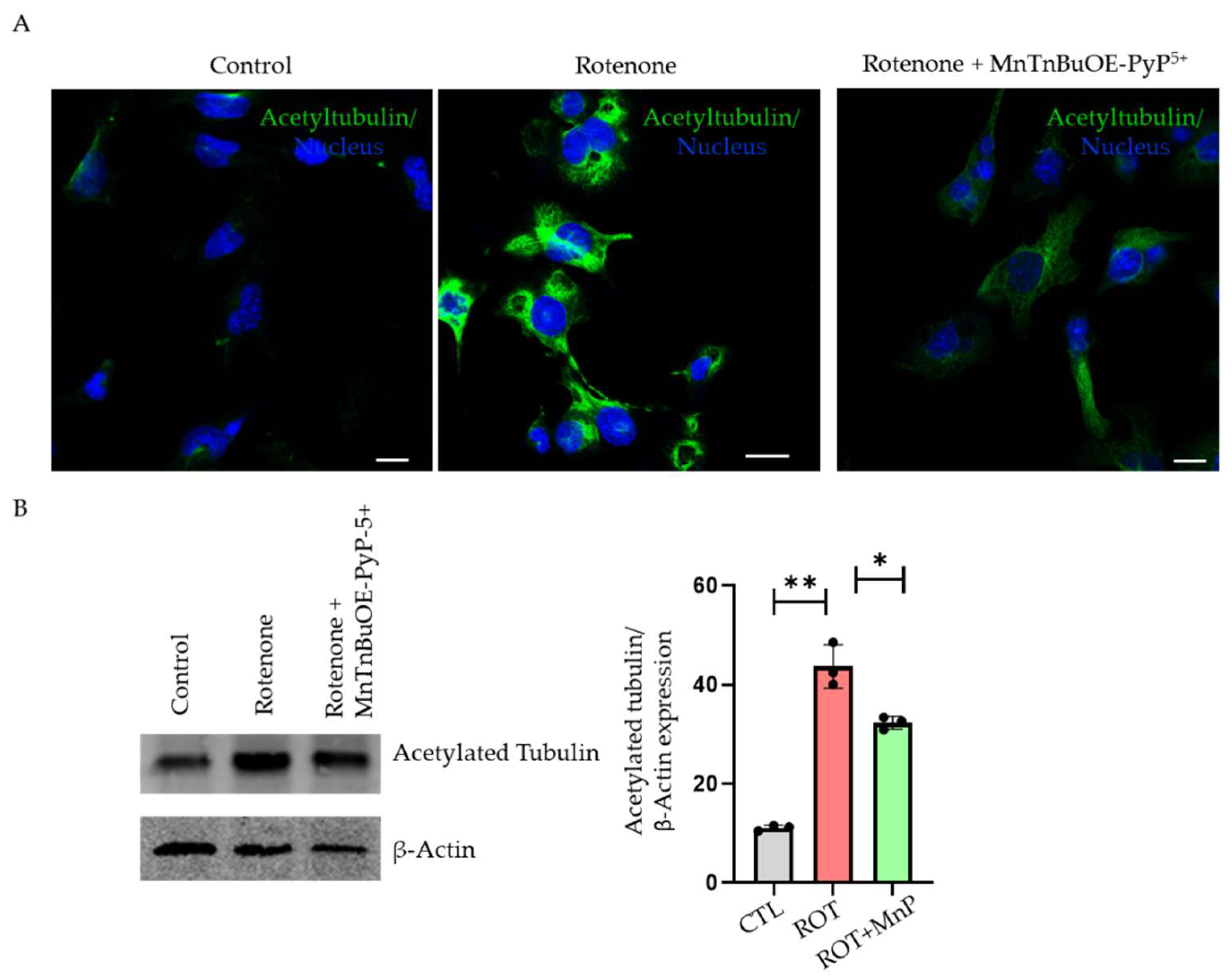 Ijms 23 04675 g006 550