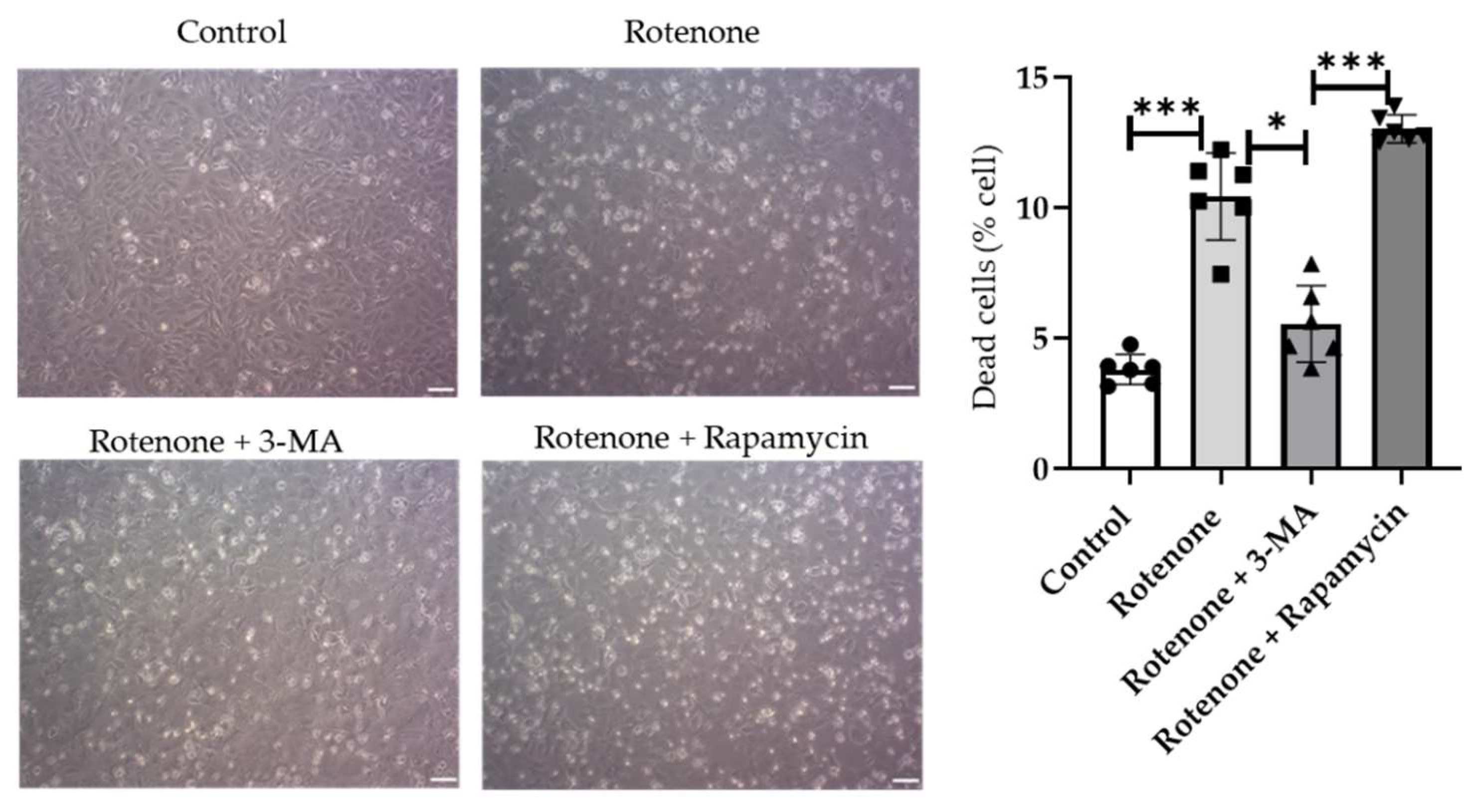 Ijms 23 04675 g007 550