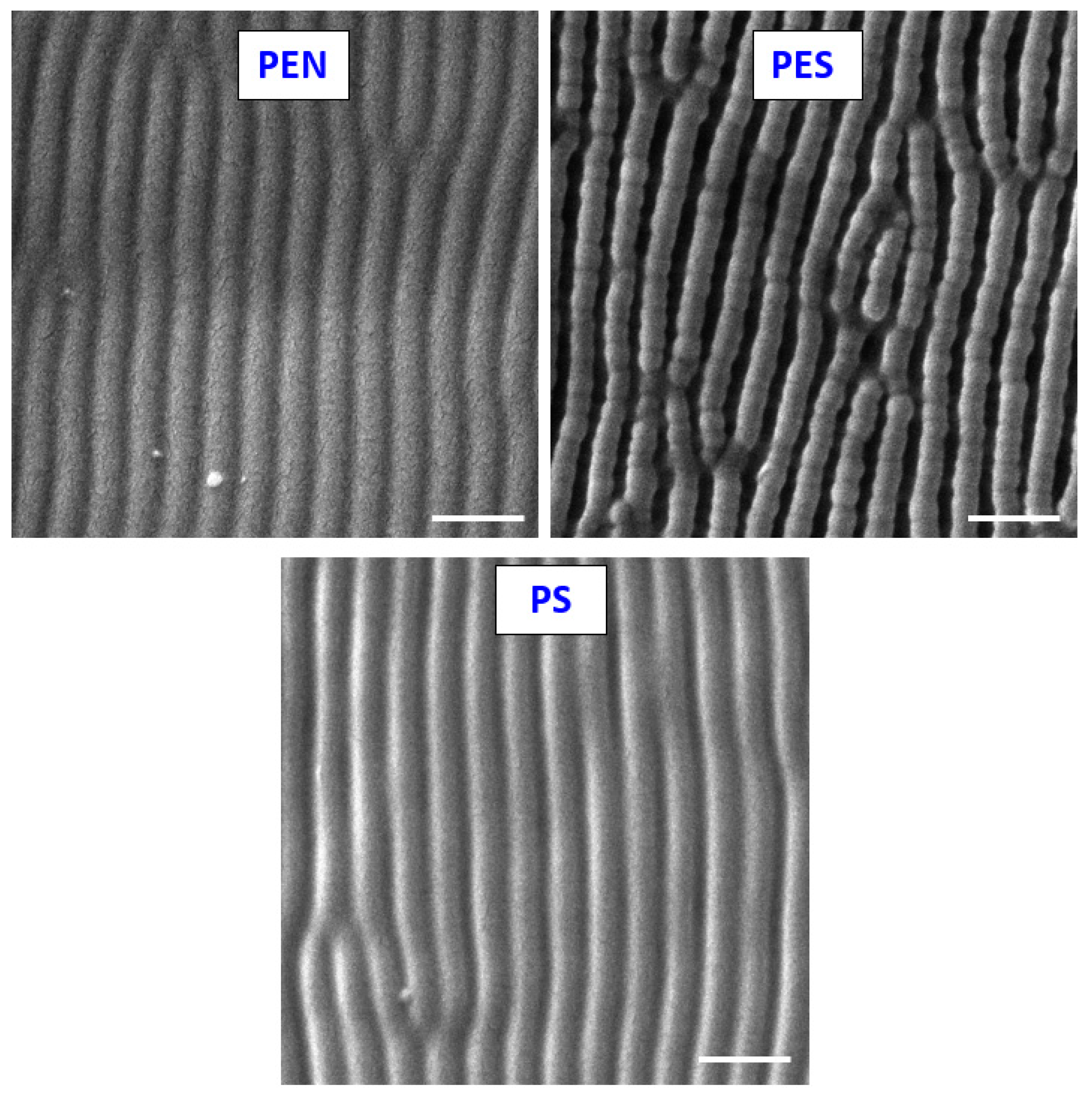 Ijms 23 04676 g001 550