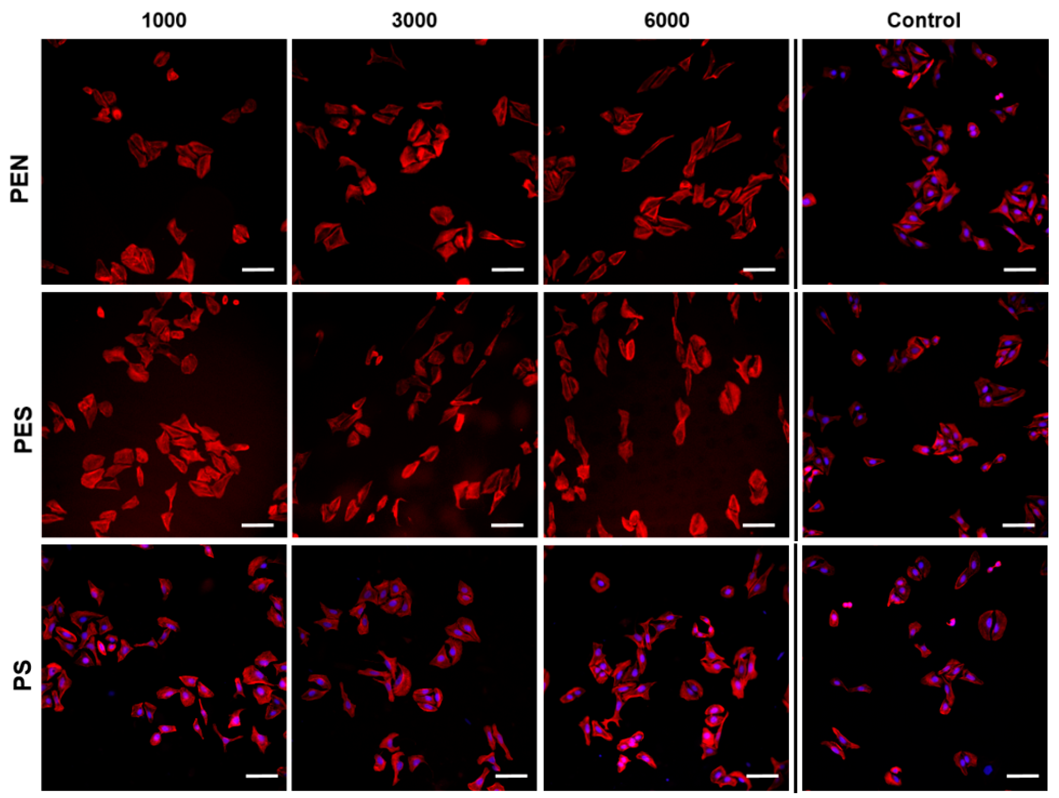 Ijms 23 04676 g008 550