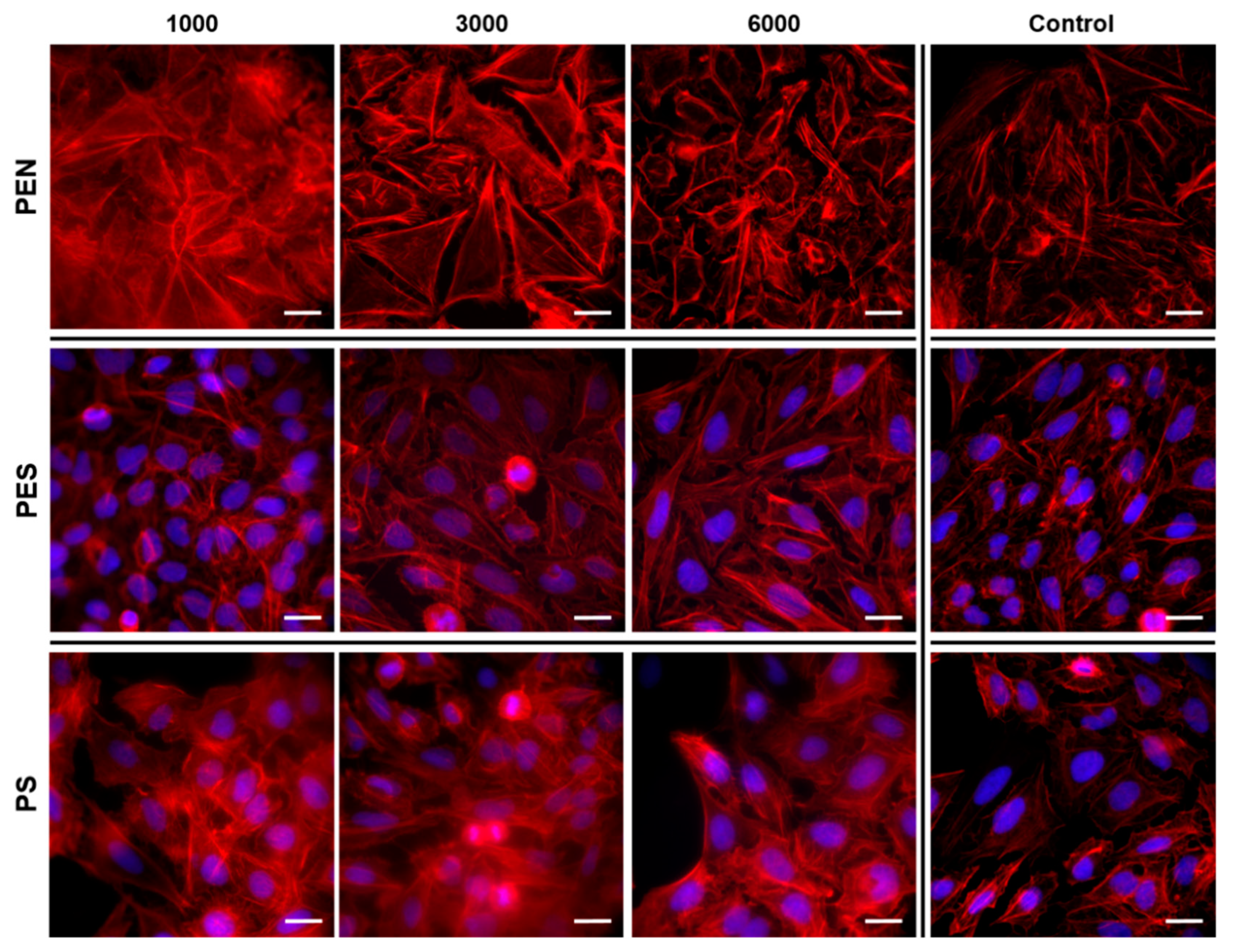Ijms 23 04676 g009 550