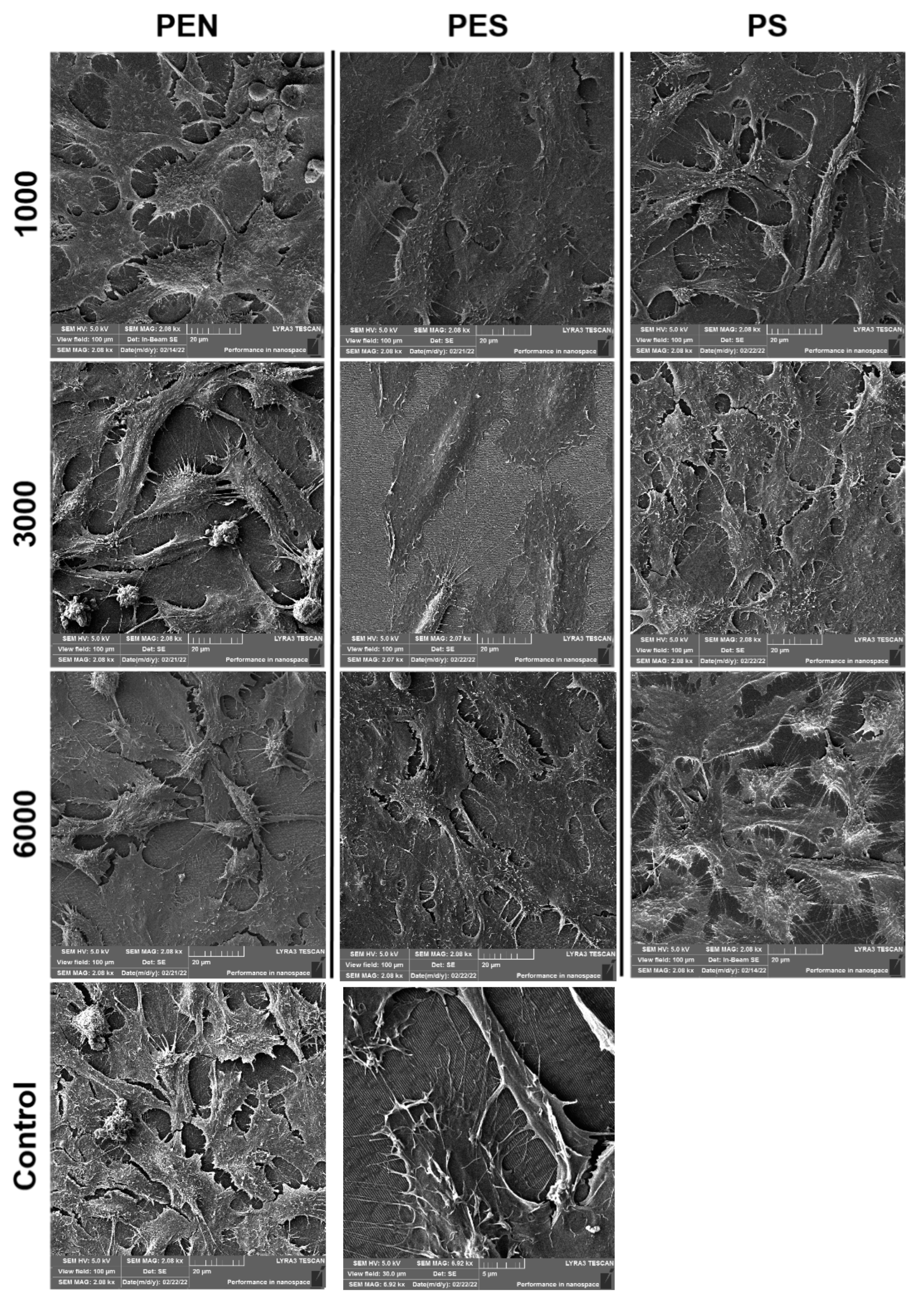 Ijms 23 04676 g011 550