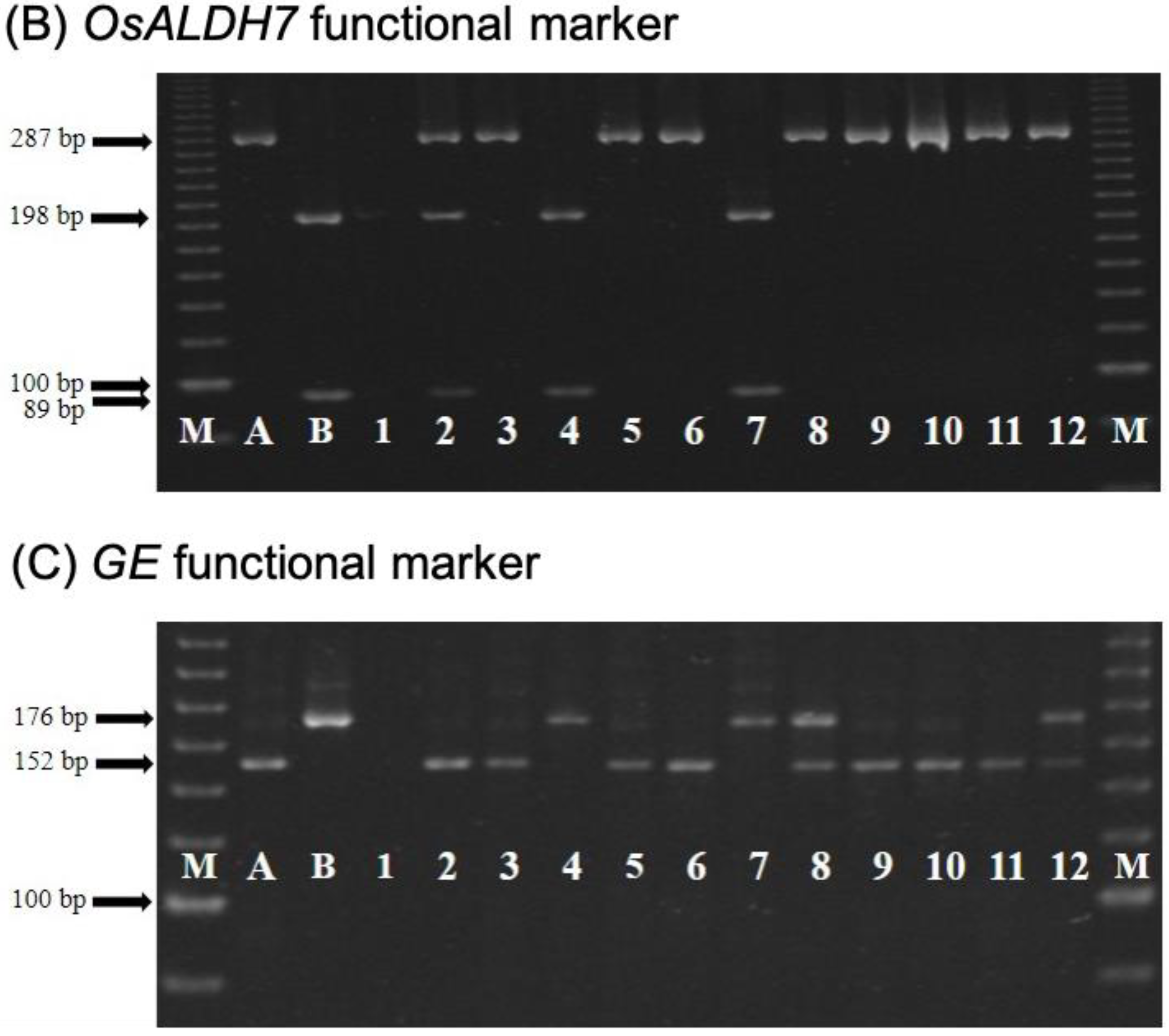 Ijms 23 04678 g003b 550