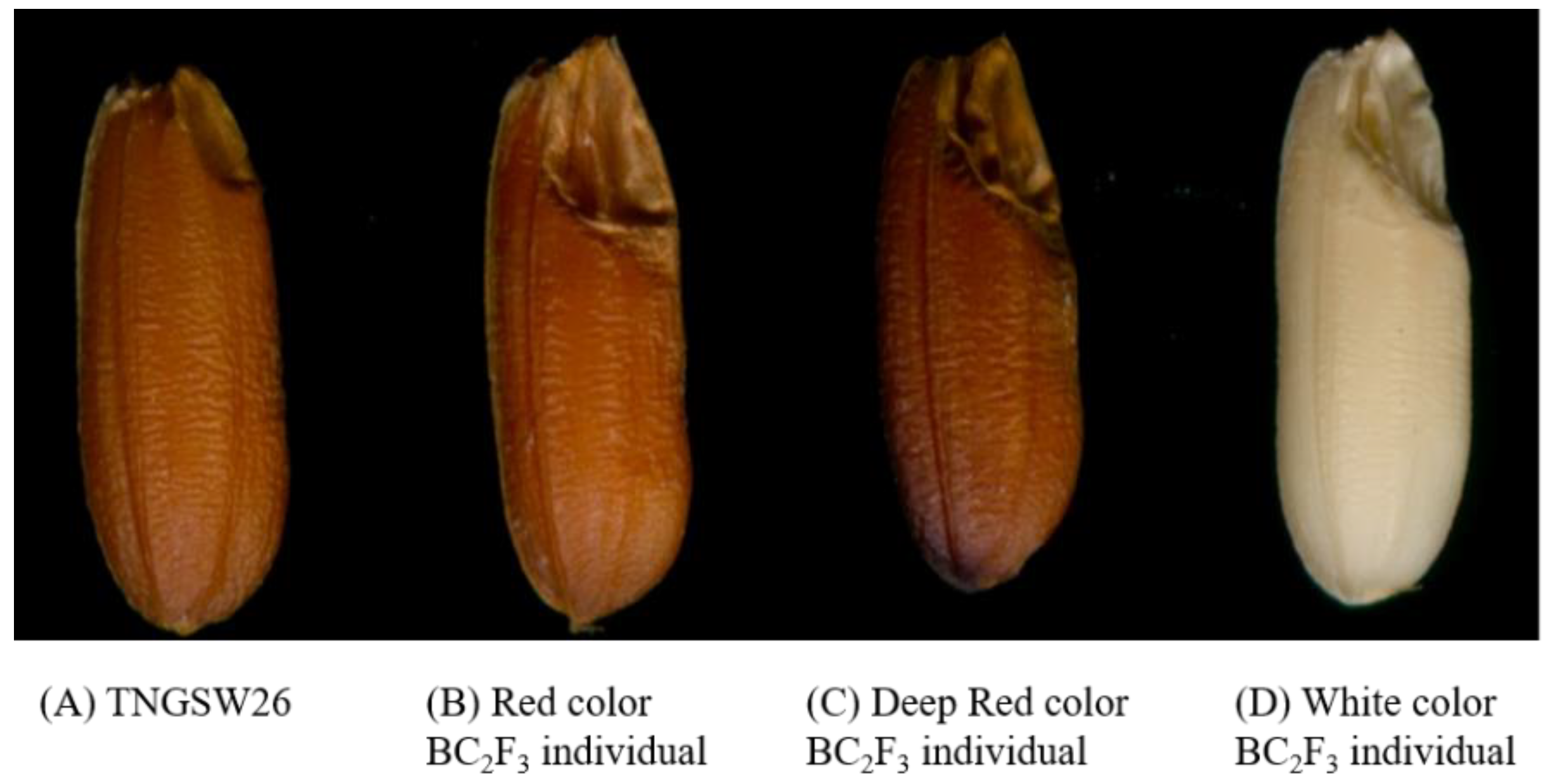 Ijms 23 04678 g008 550