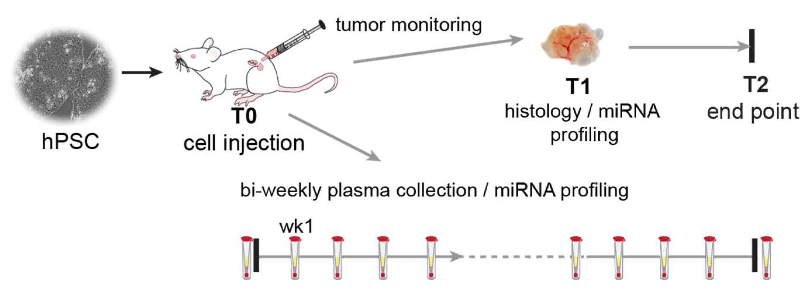 Ijms 23 04680 g001 550