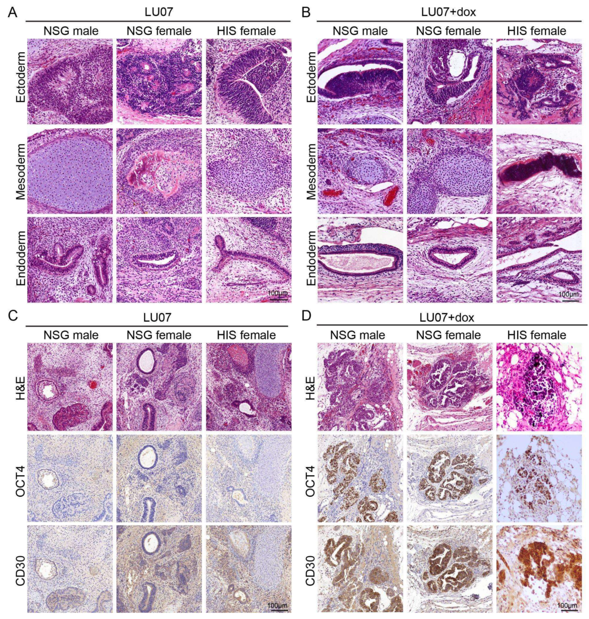 Ijms 23 04680 g003 550