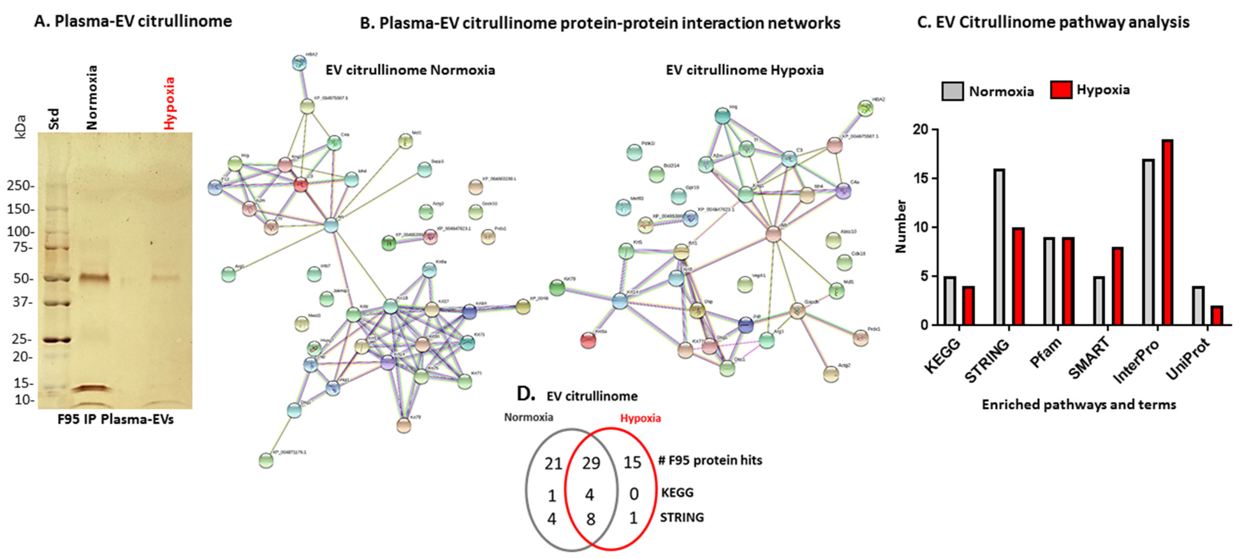 Ijms 23 04683 g004 550