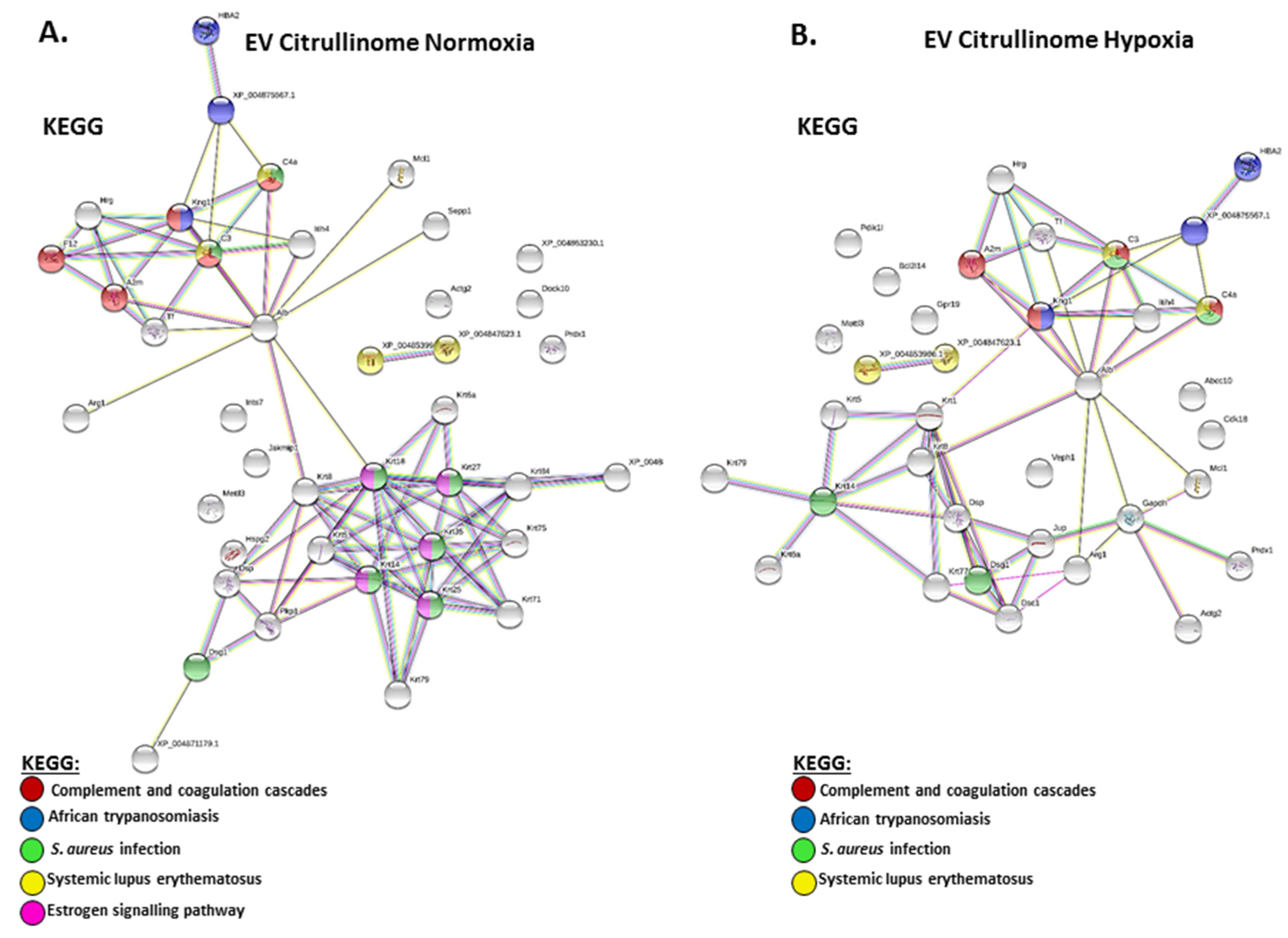 Ijms 23 04683 g005 550