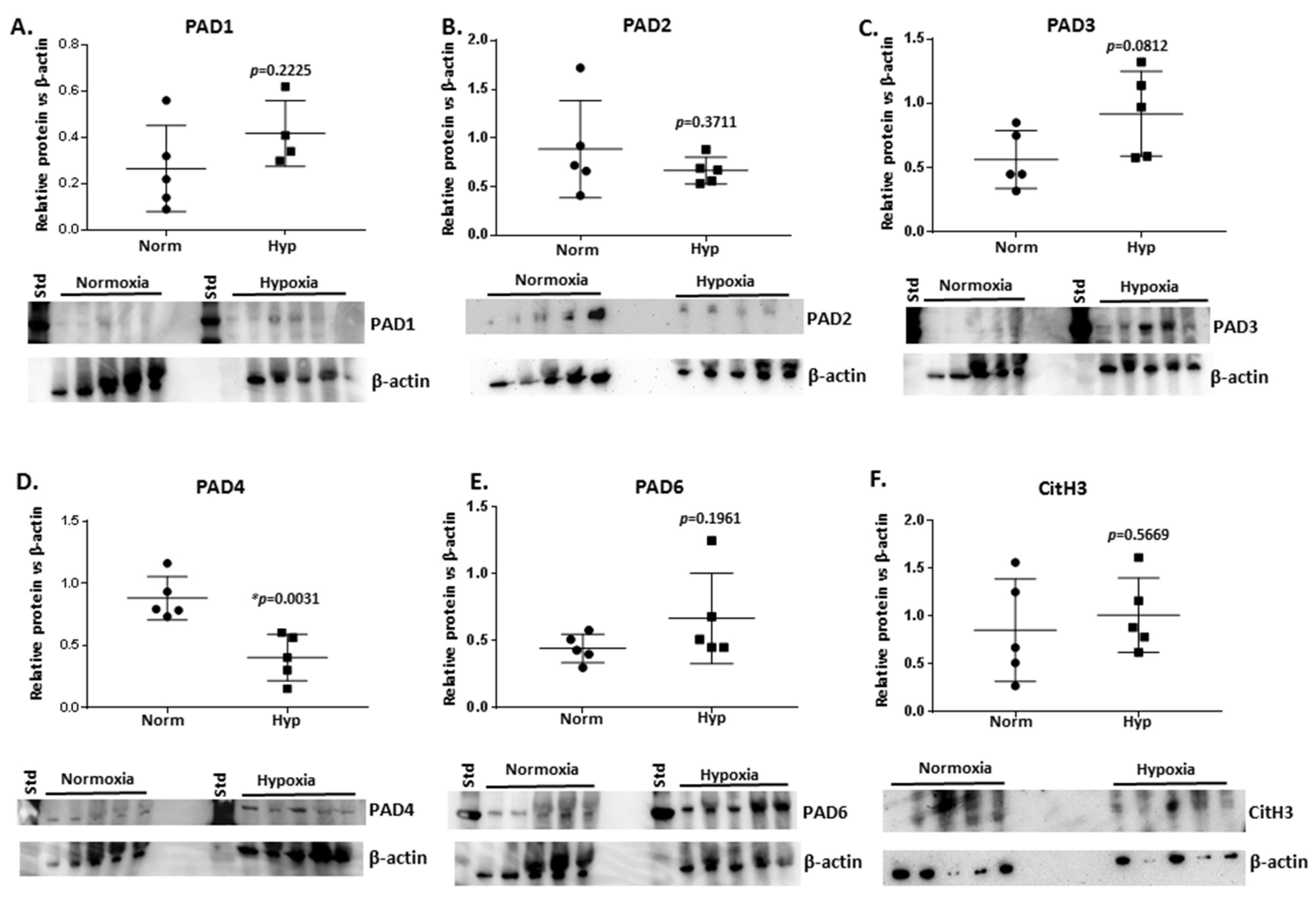 Ijms 23 04683 g006 550