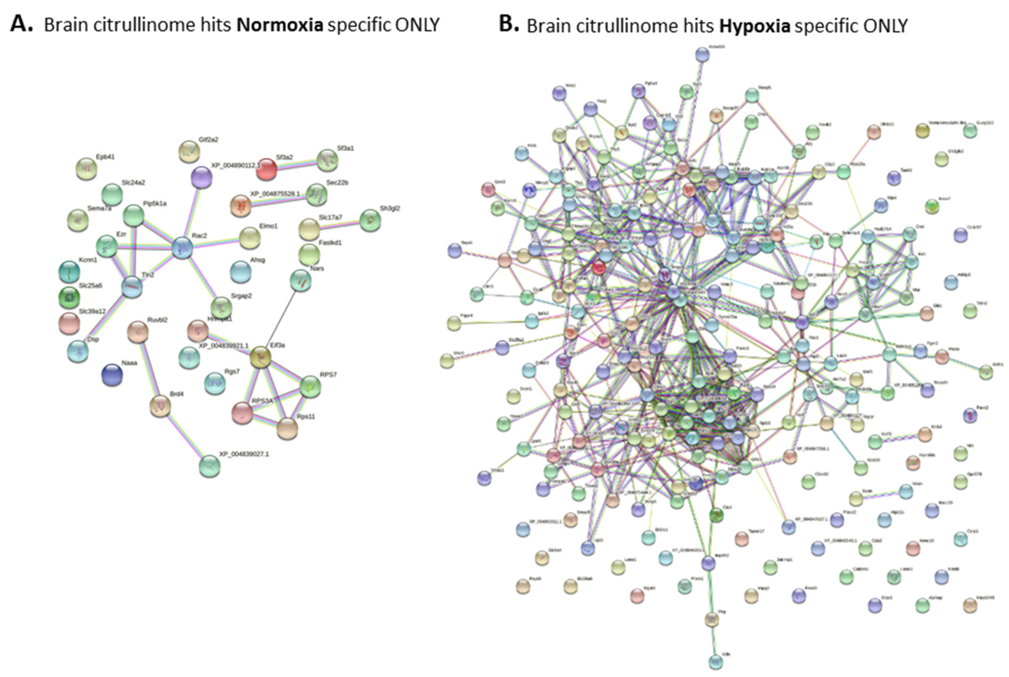 Ijms 23 04683 g008 550