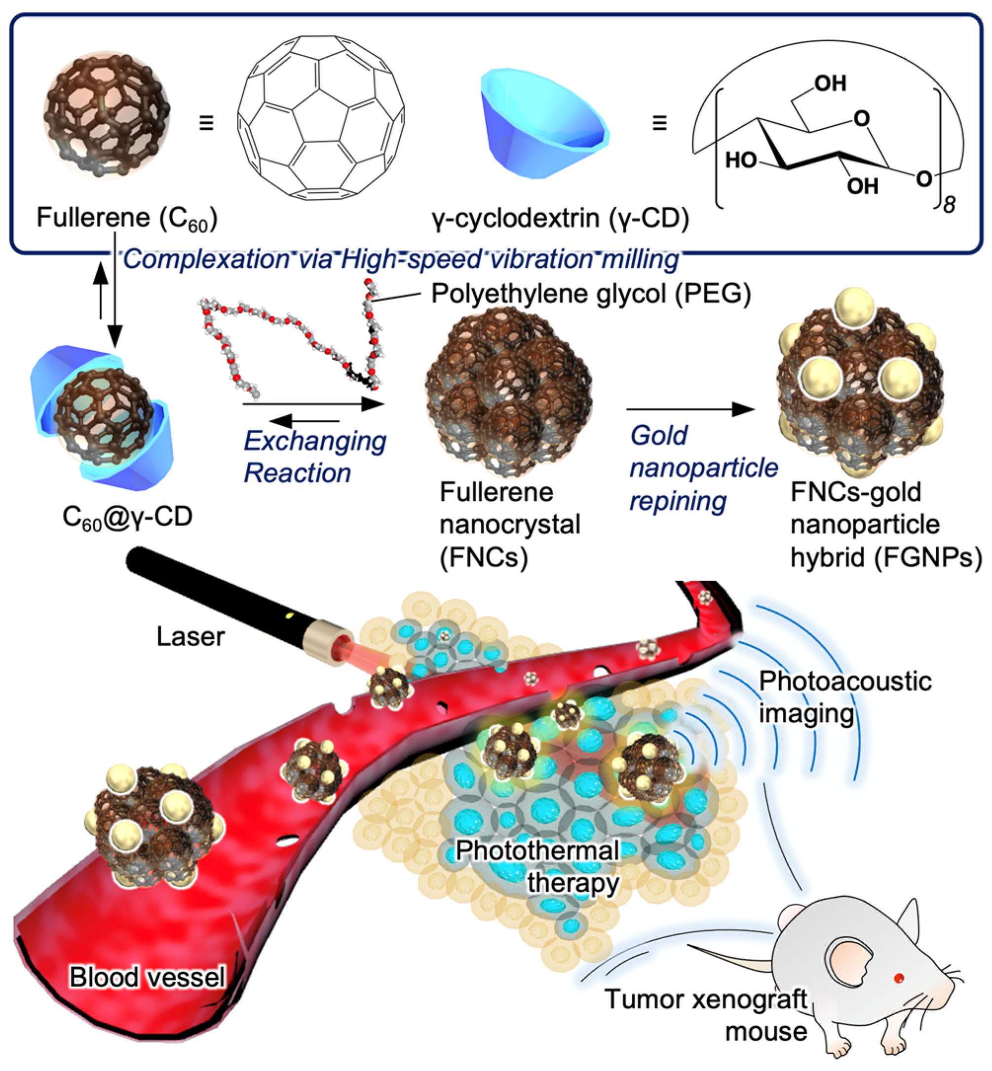 Theranostic Agent Combining Fullerene Nanocrystals and Gold