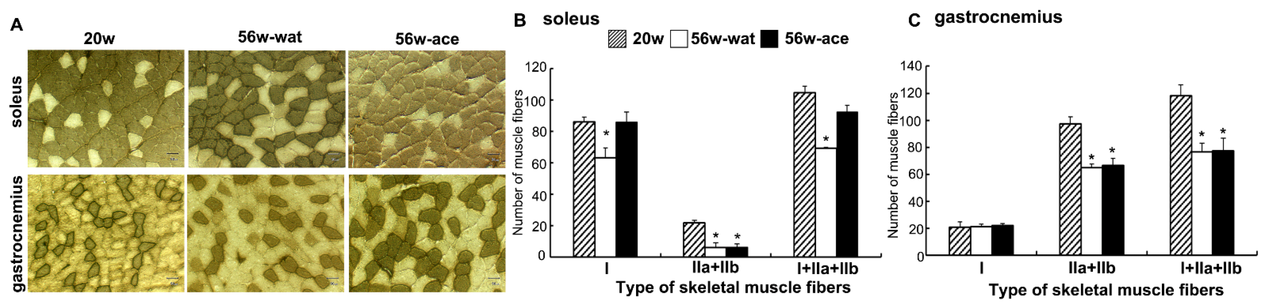 Ijms 23 04691 g002 550
