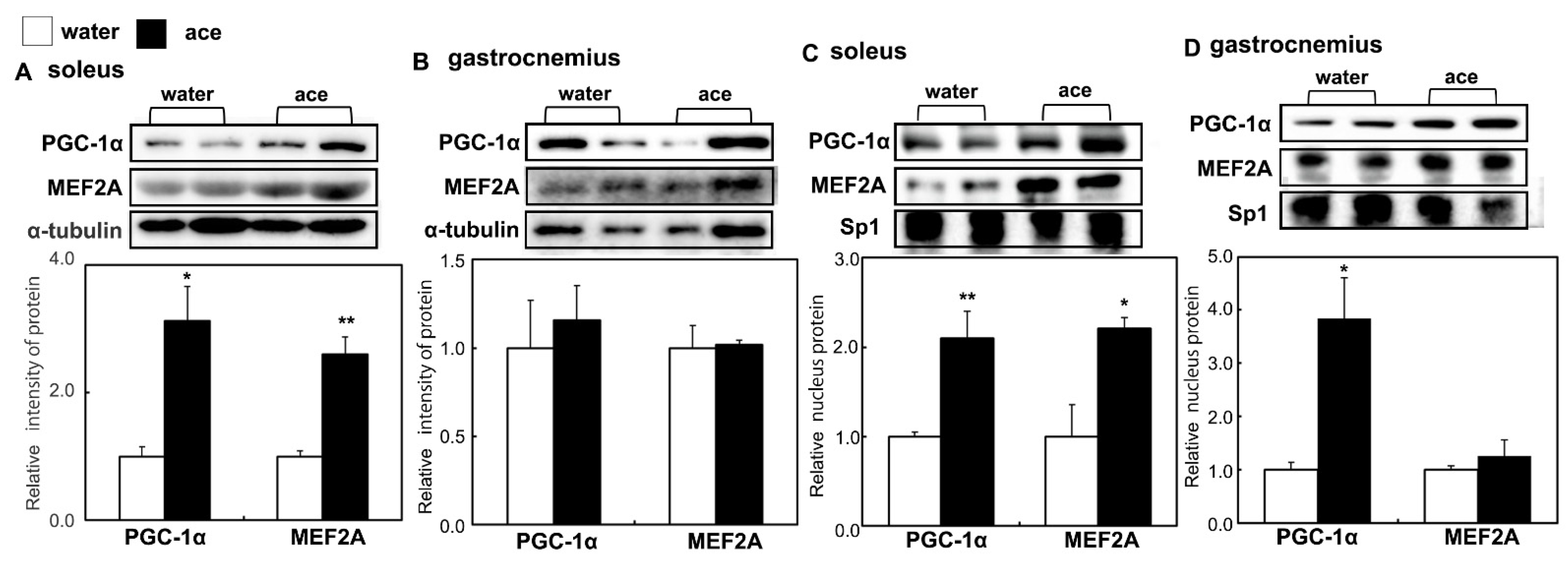 Ijms 23 04691 g005 550