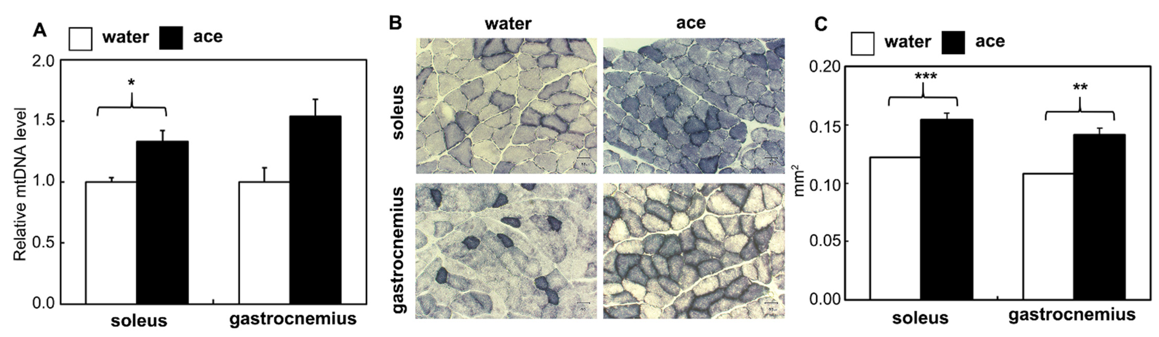 Ijms 23 04691 g006 550