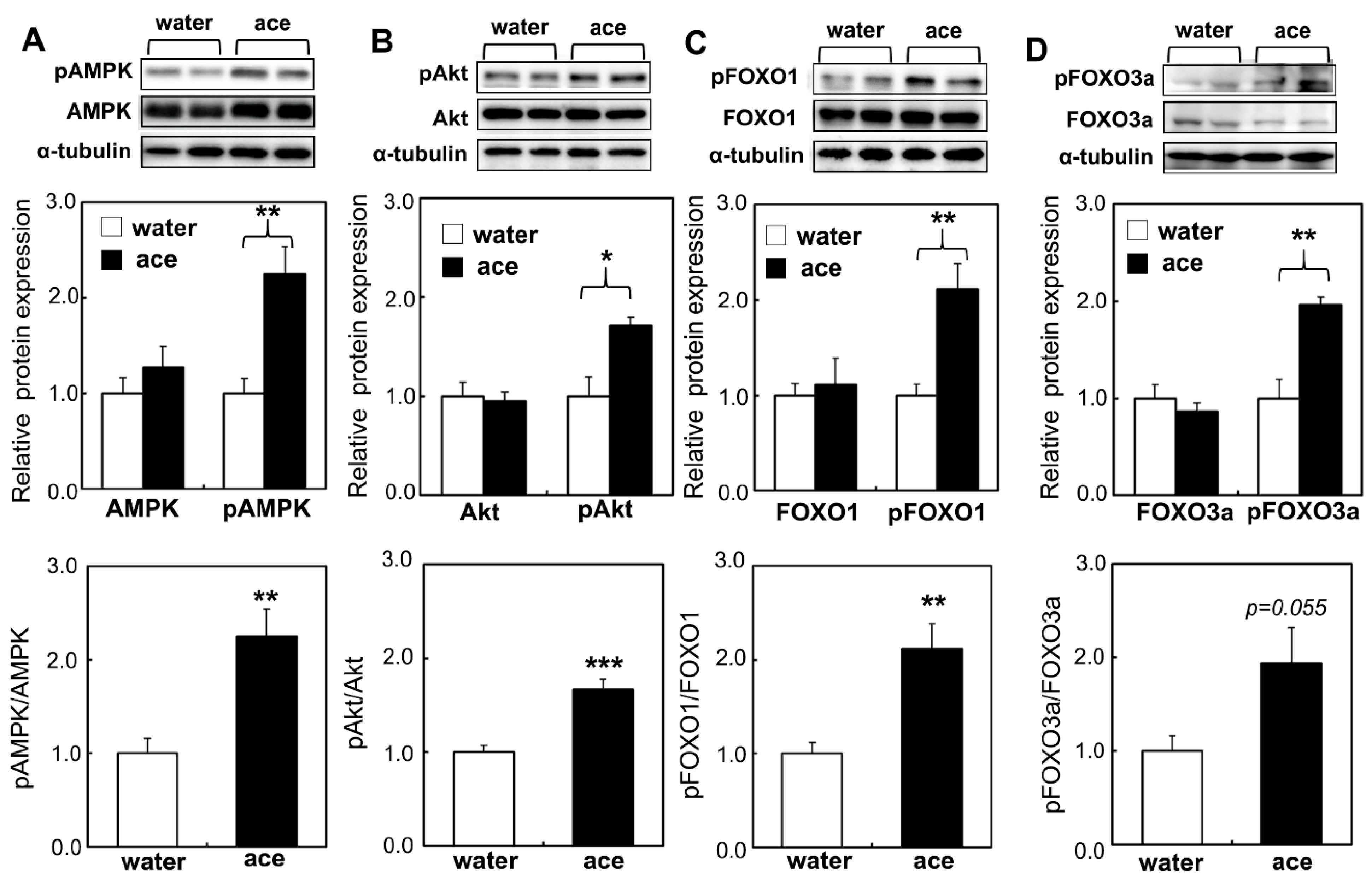 Ijms 23 04691 g009 550