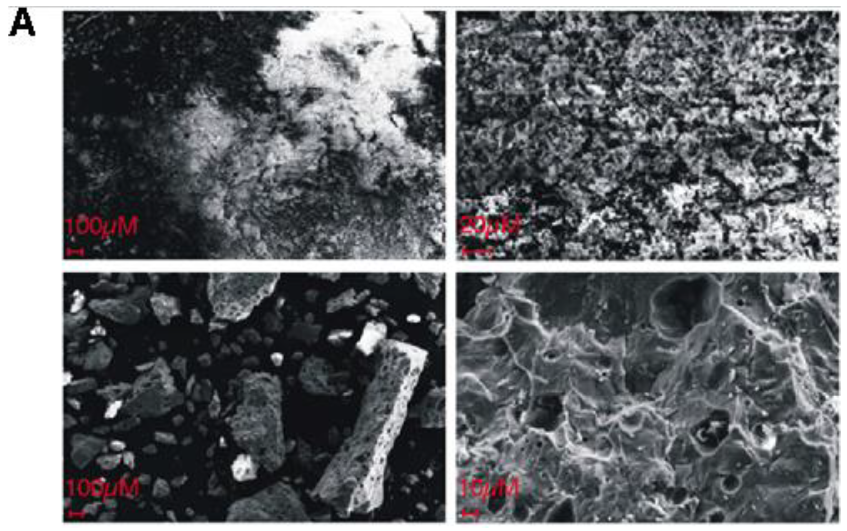 Ijms 23 04692 g001a 550