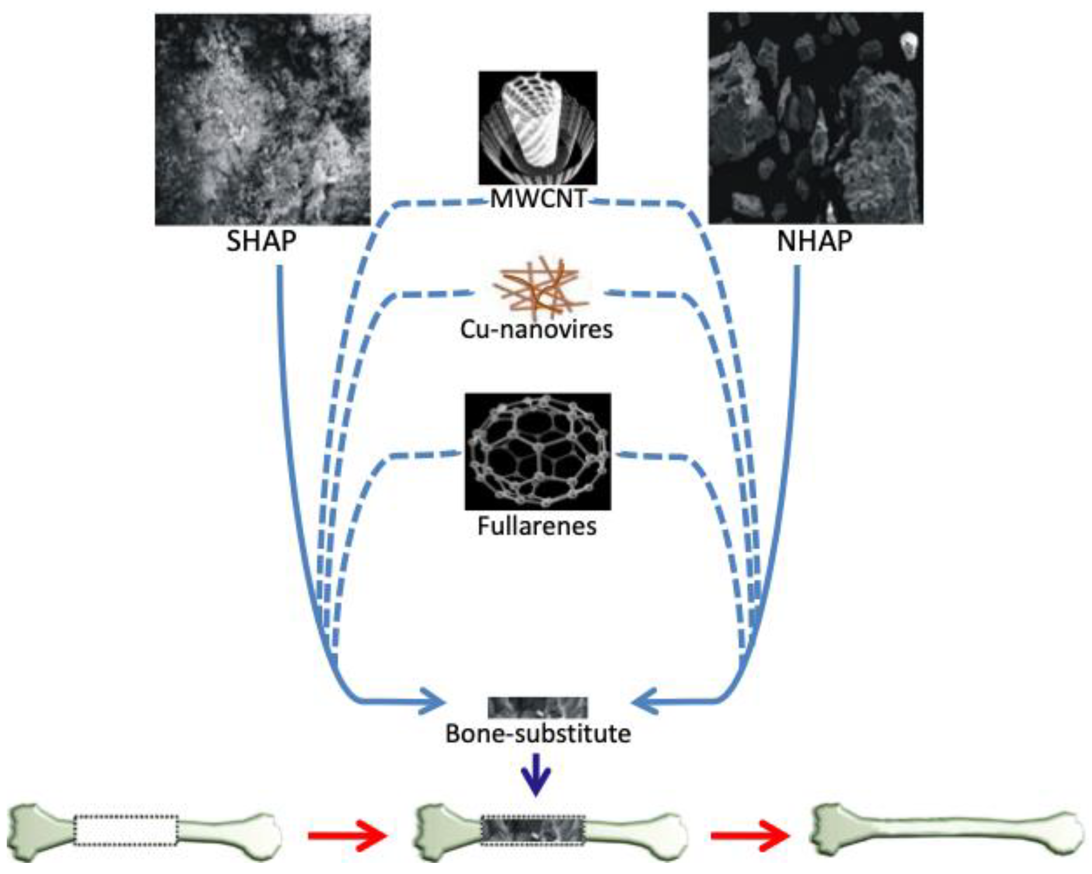 Ijms 23 04692 g007 550