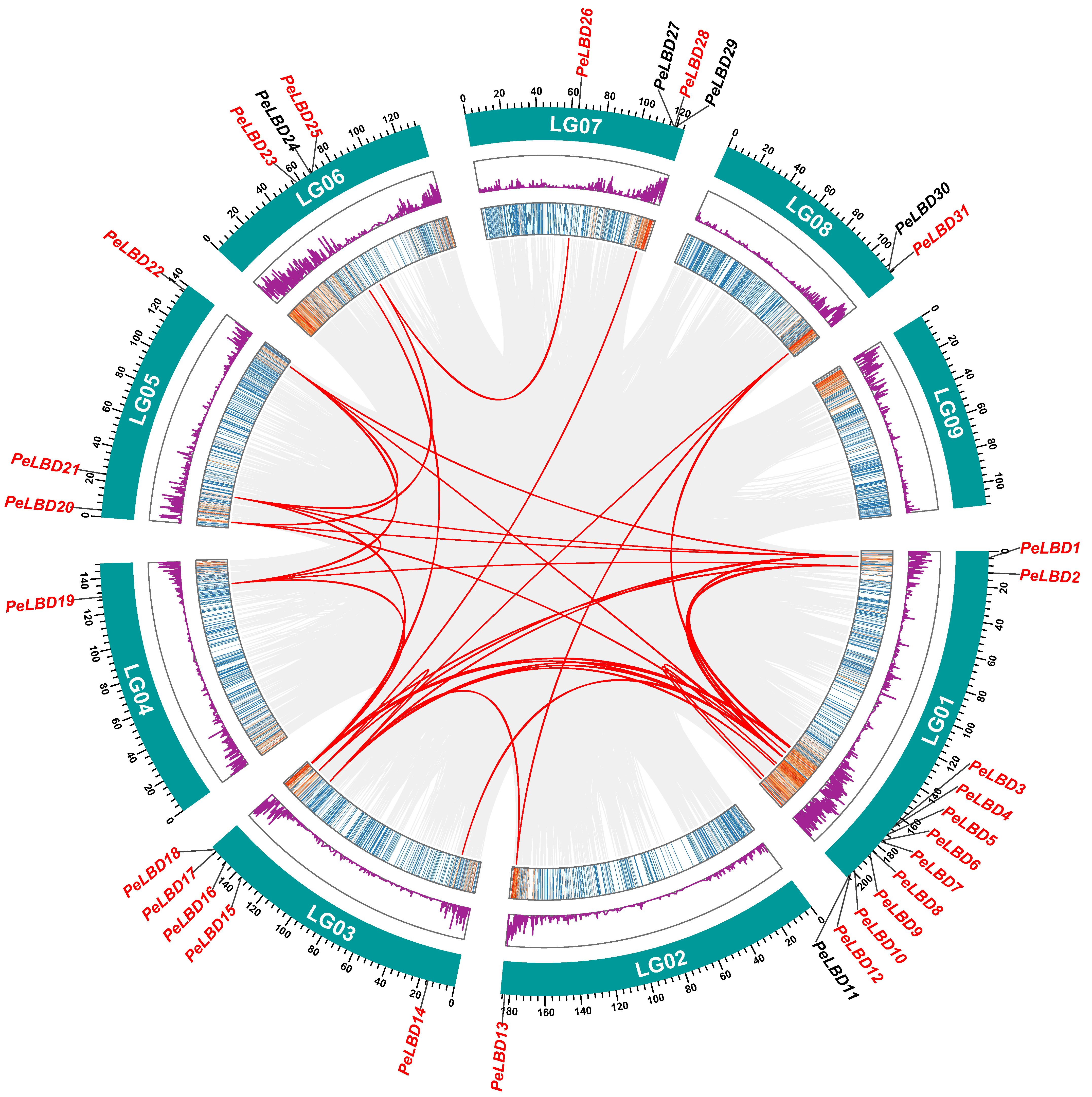 Ijms 23 04700 g005 550