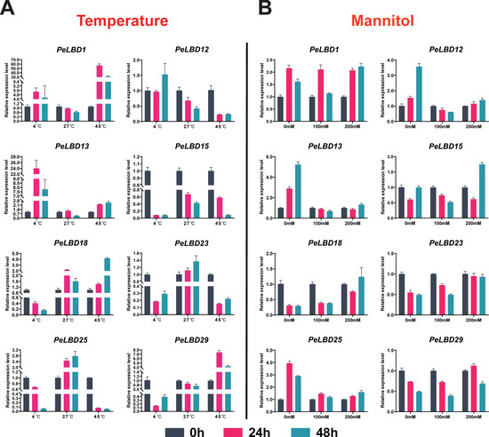 Genome-Wide Identification and Expression Analysis of LBD