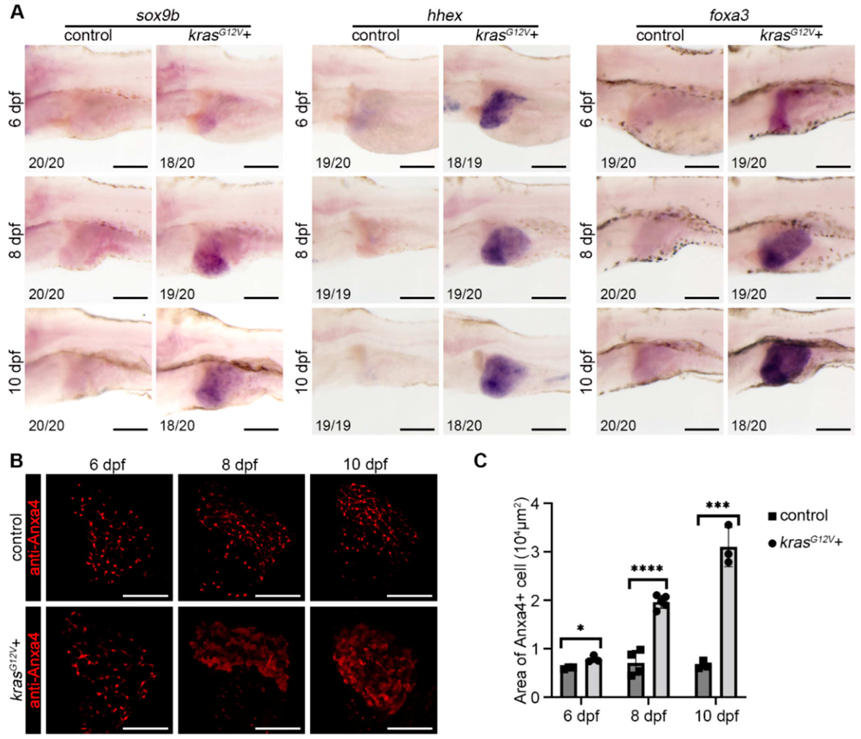 Ijms 23 04705 g002 550