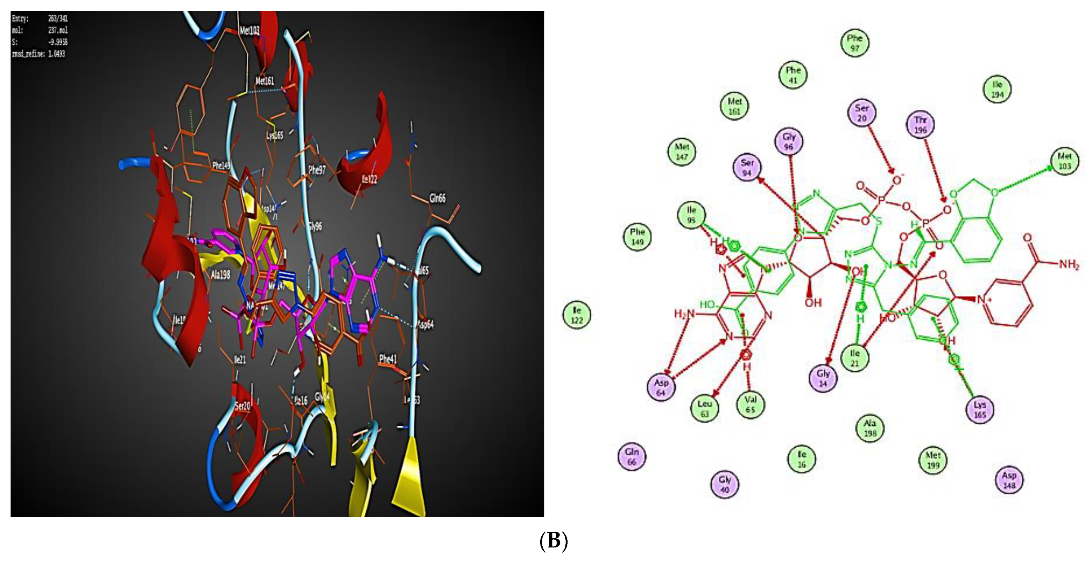 Ijms 23 04706 g006b 550