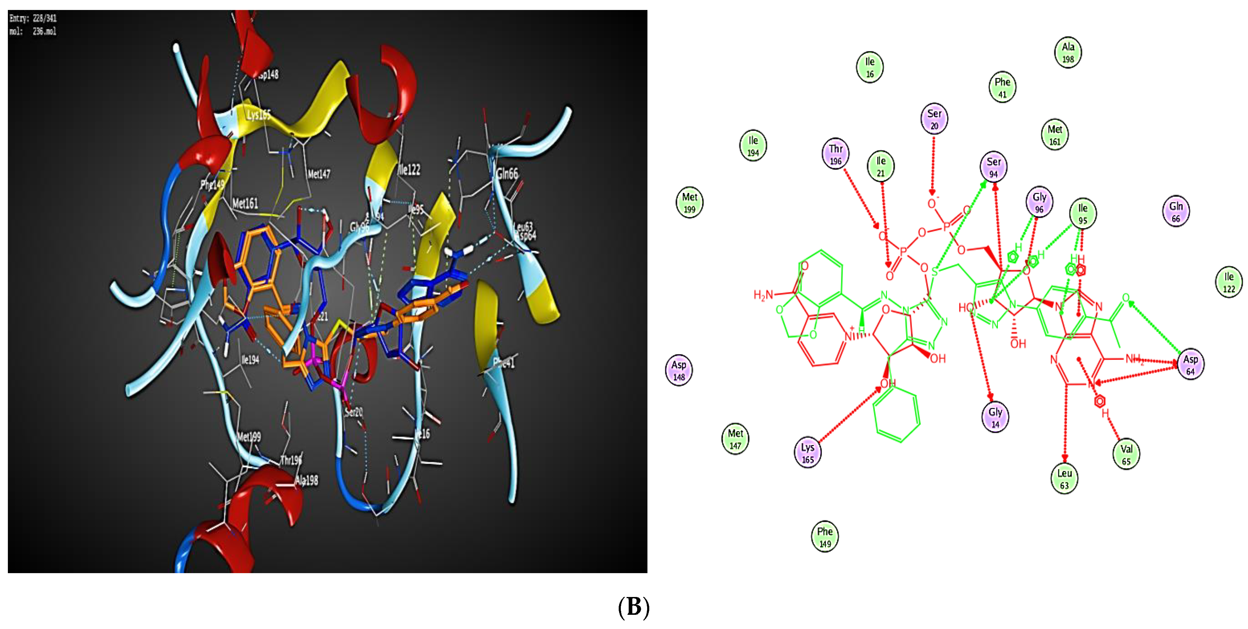 Ijms 23 04706 g008b 550