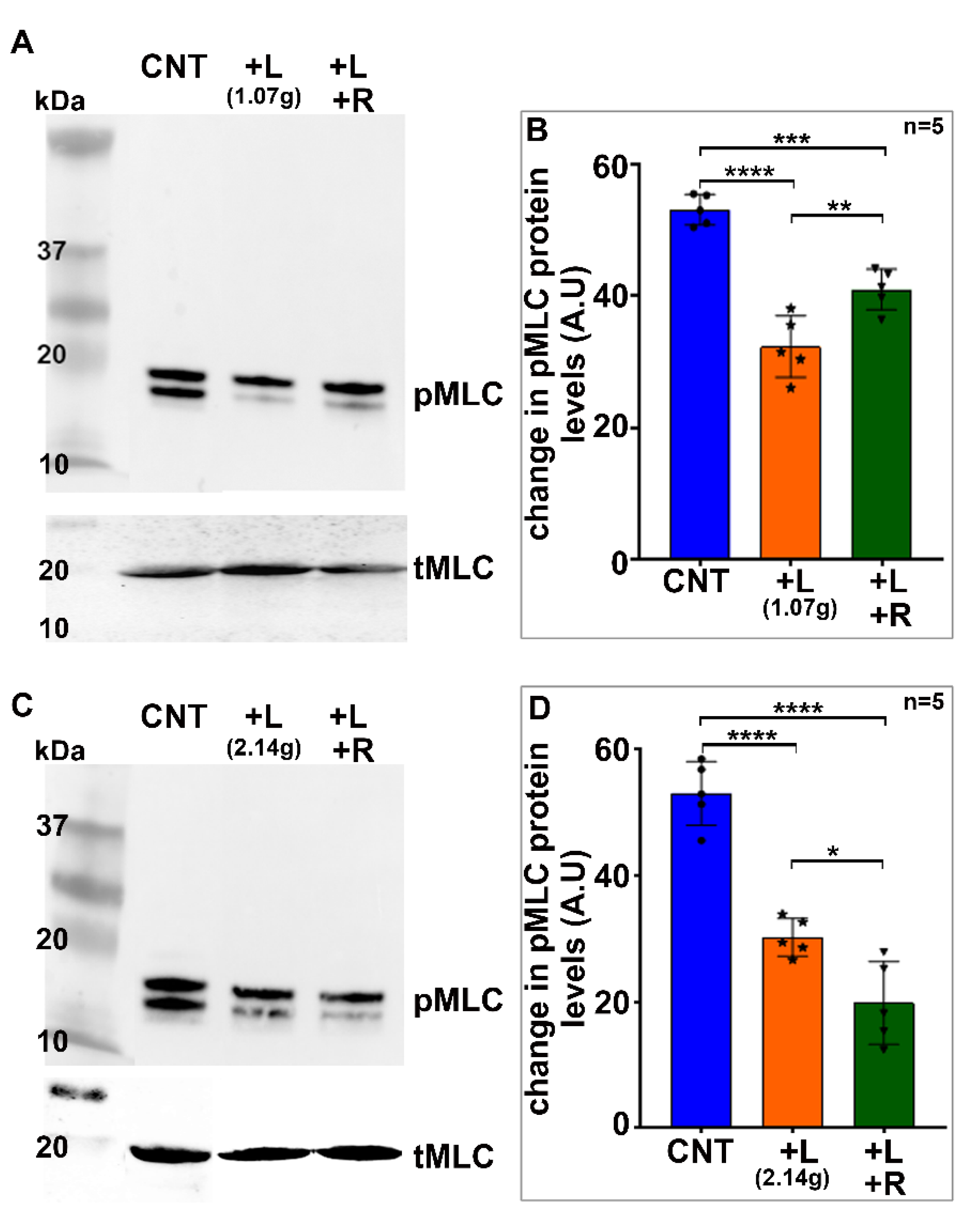 Ijms 23 04710 g002 550