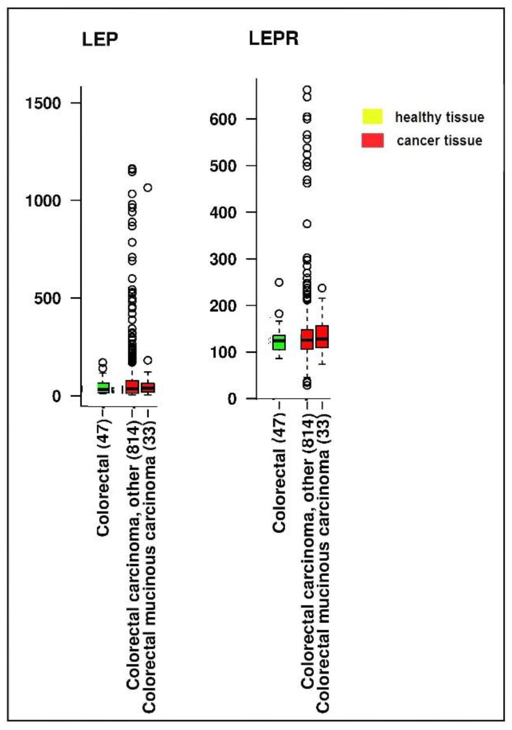 Ijms 23 04713 g003 Ijms 23 04713 g003