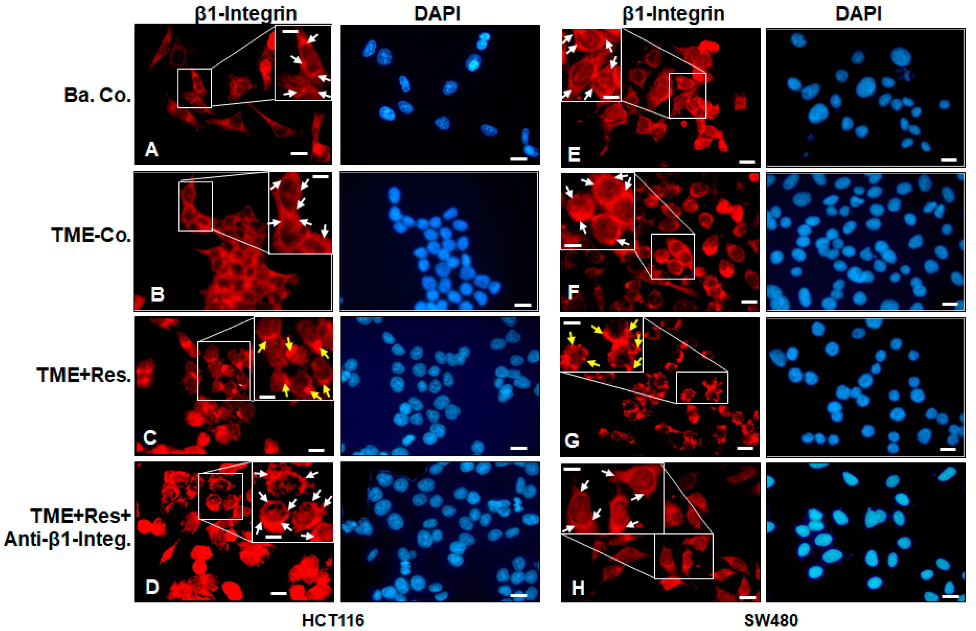 Ijms 23 04714 g001 550