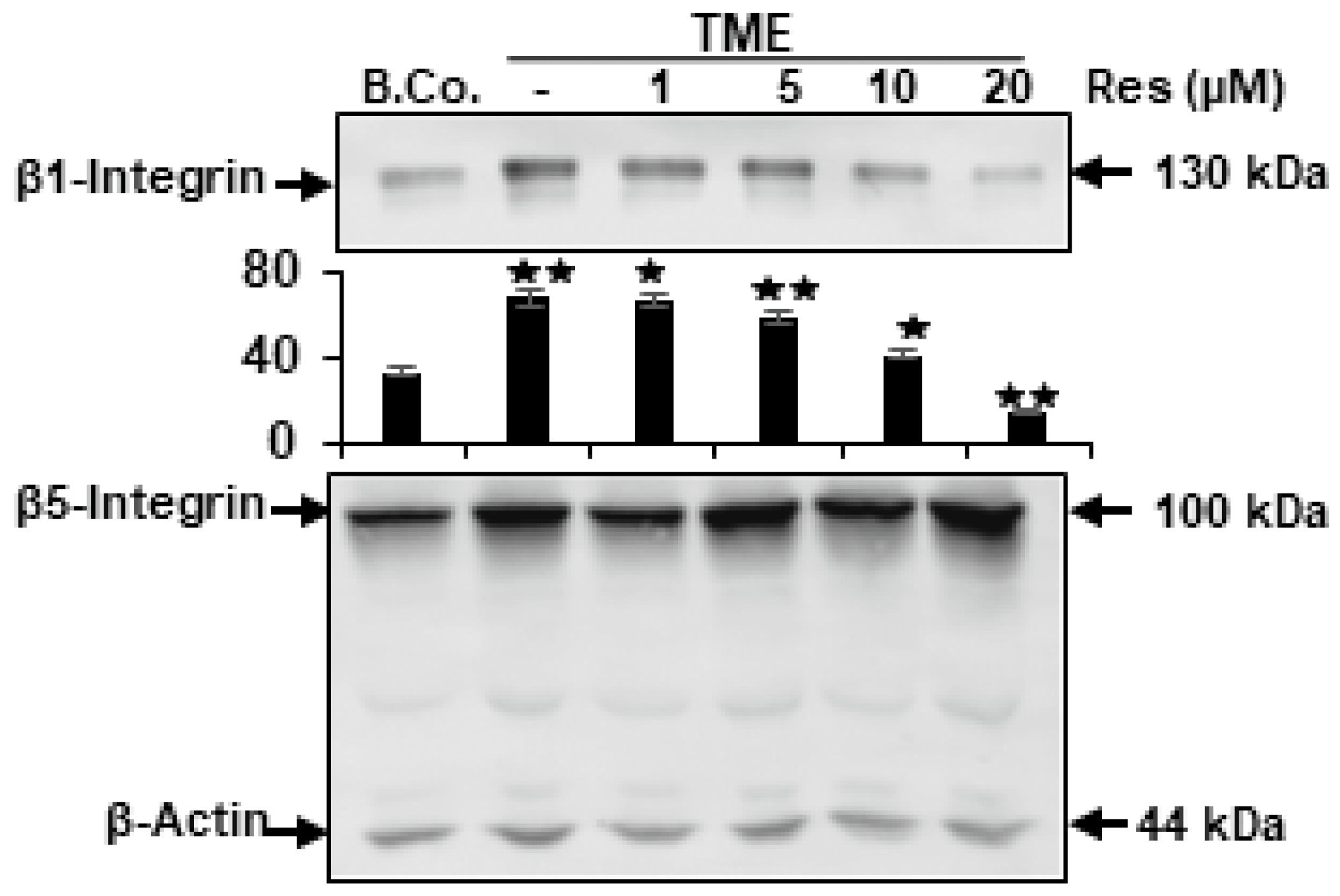 Ijms 23 04714 g002 550