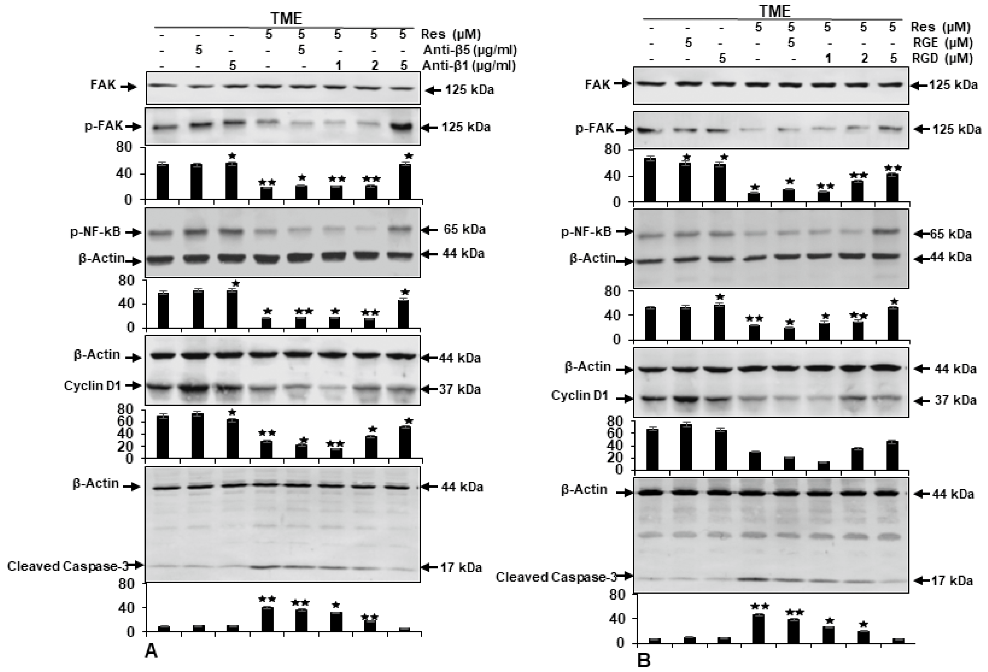 Ijms 23 04714 g005 550