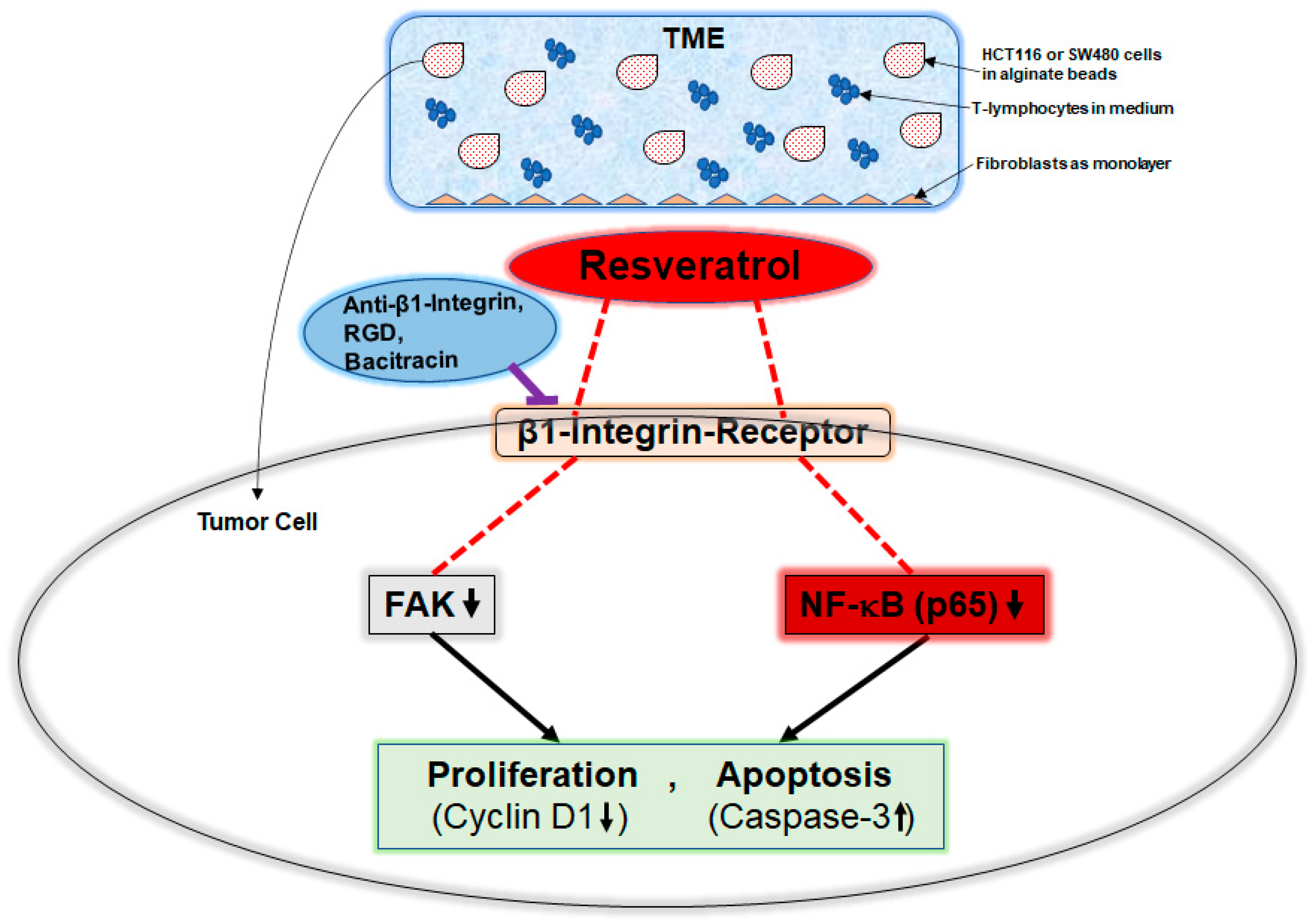 Ijms 23 04714 g006 550