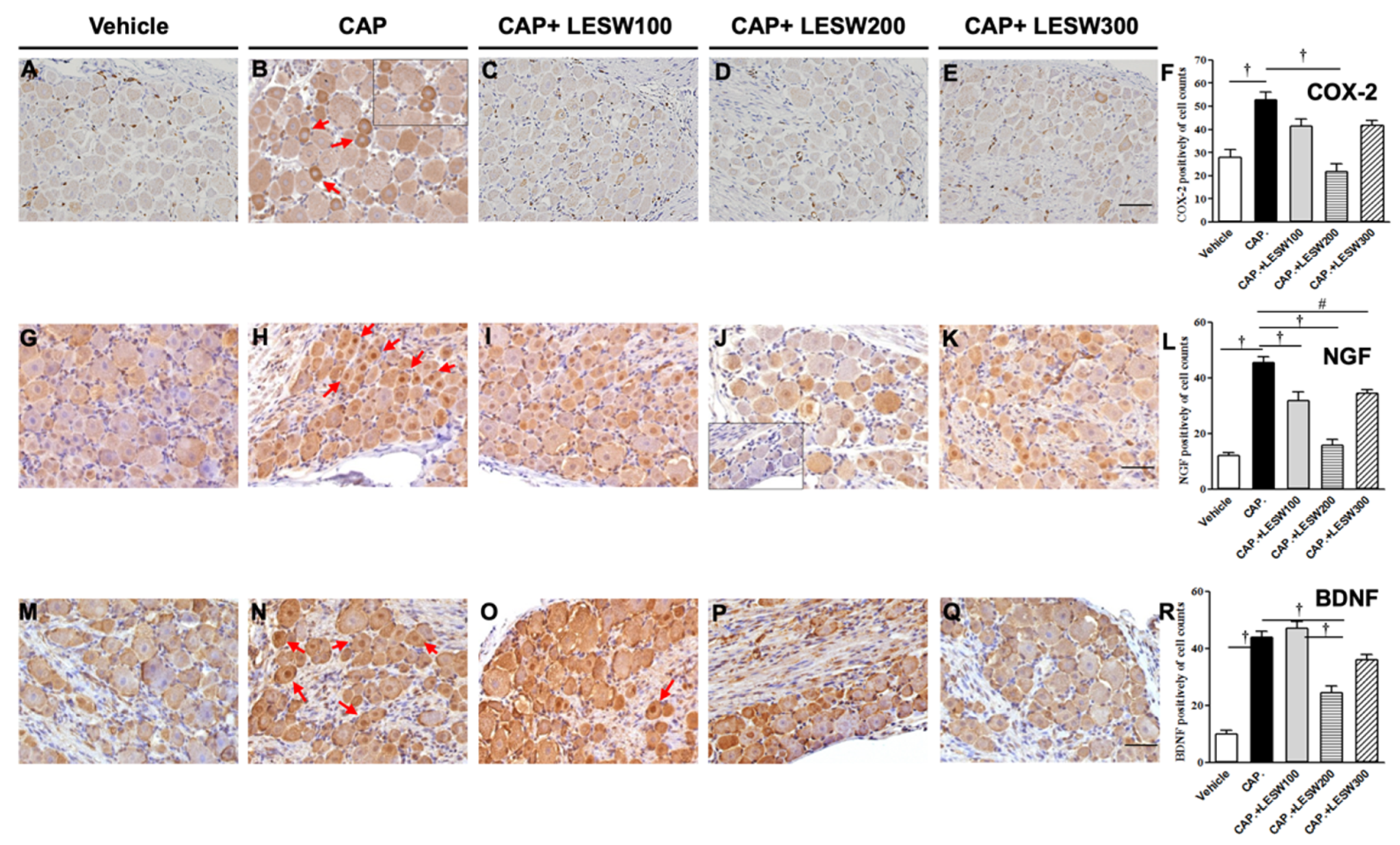 Ijms 23 04716 g001 550