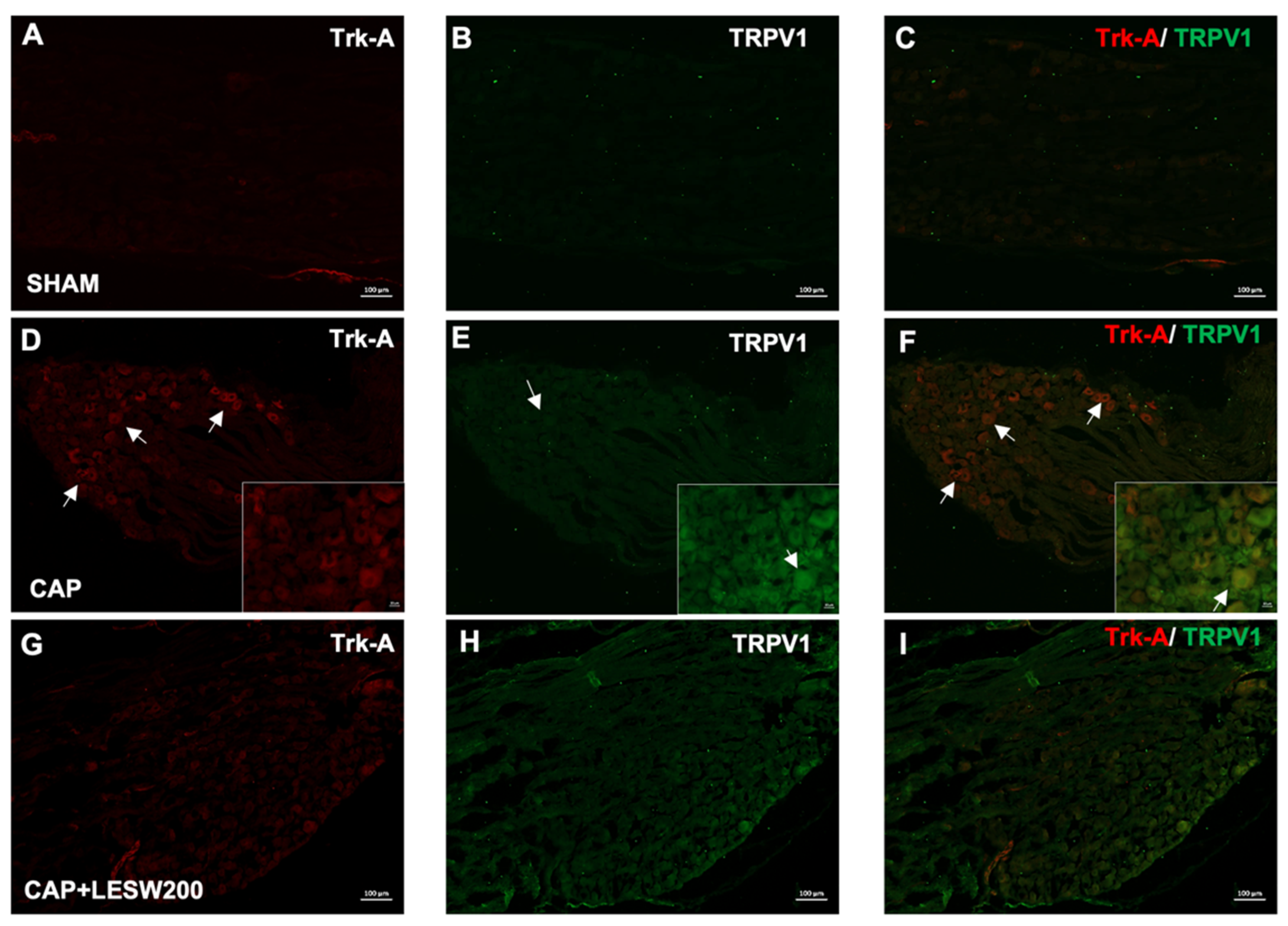 Ijms 23 04716 g002 550