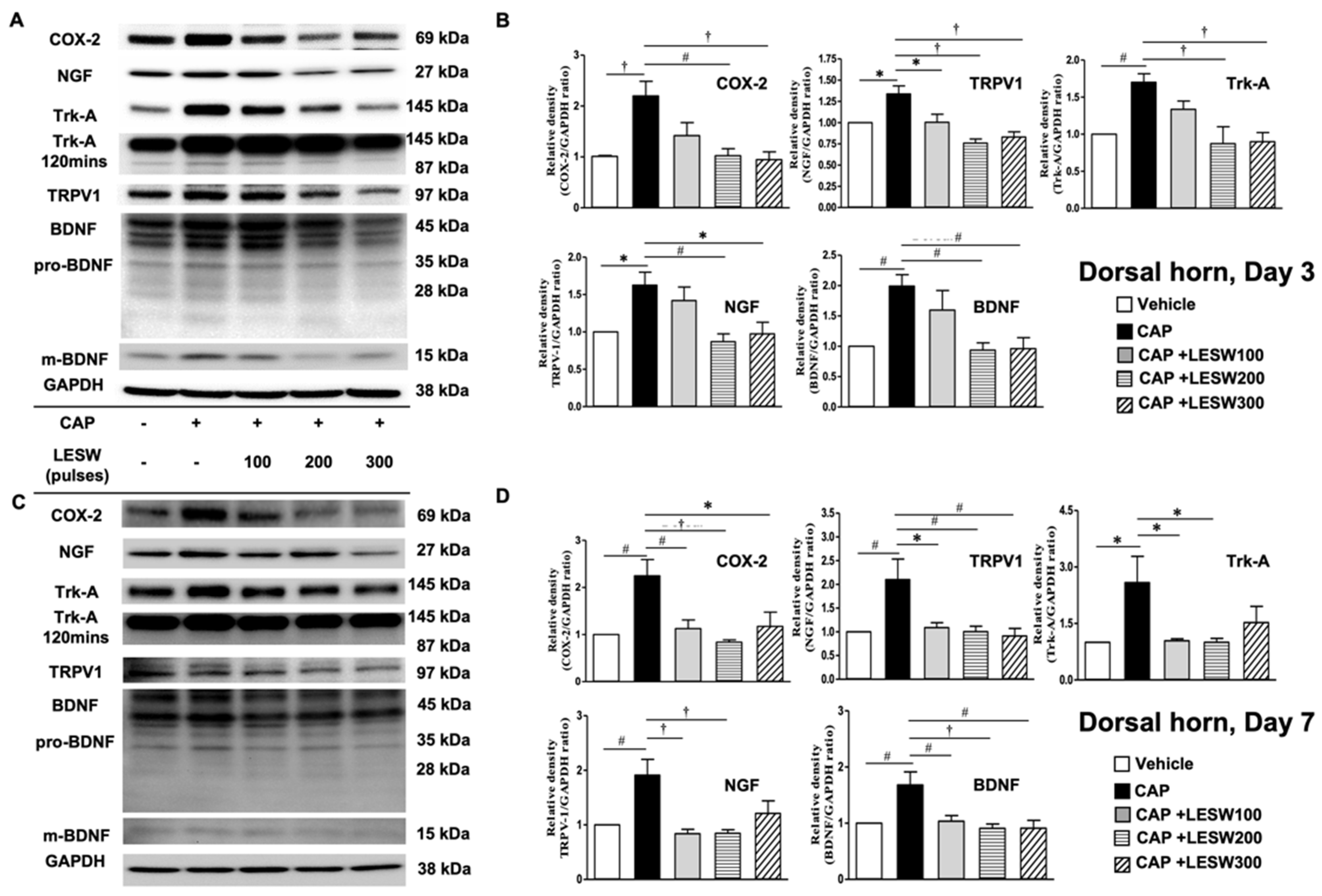 Ijms 23 04716 g005 550