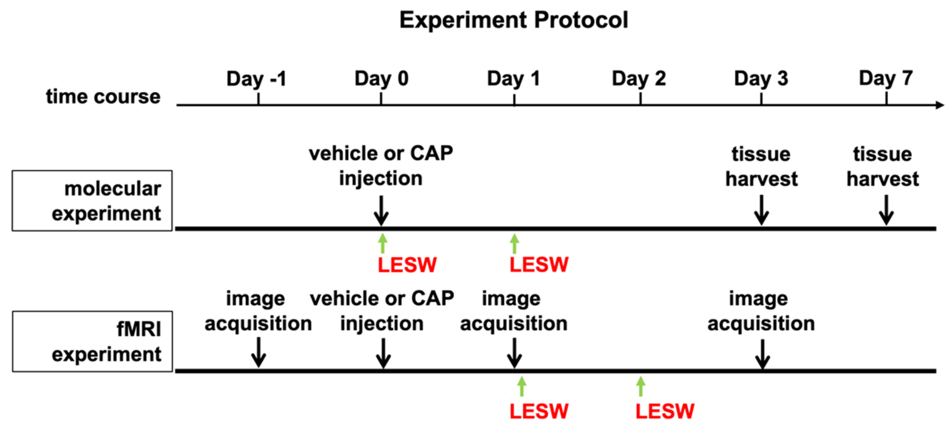 Ijms 23 04716 g008 550