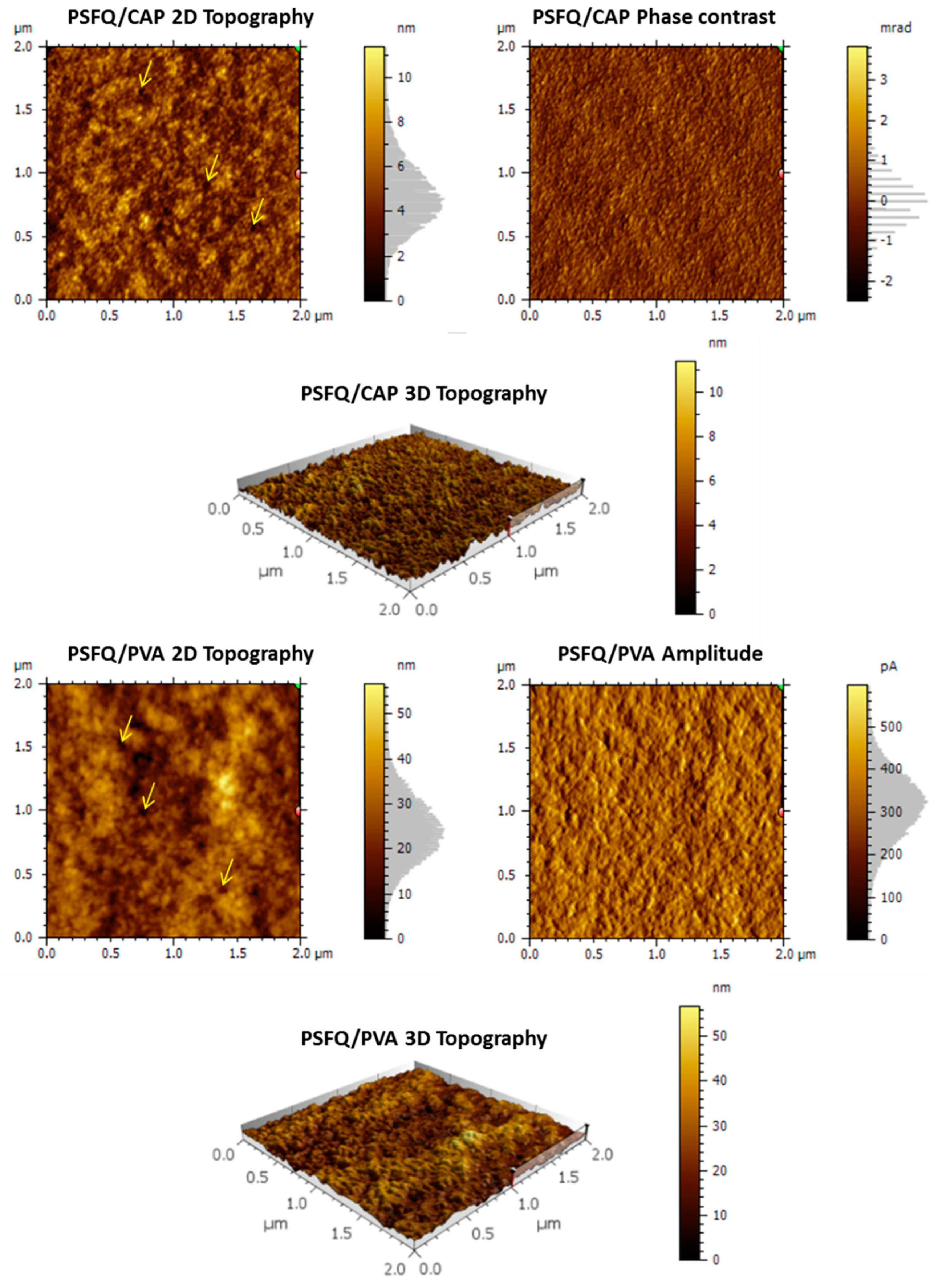 Ijms 23 04721 g007 550