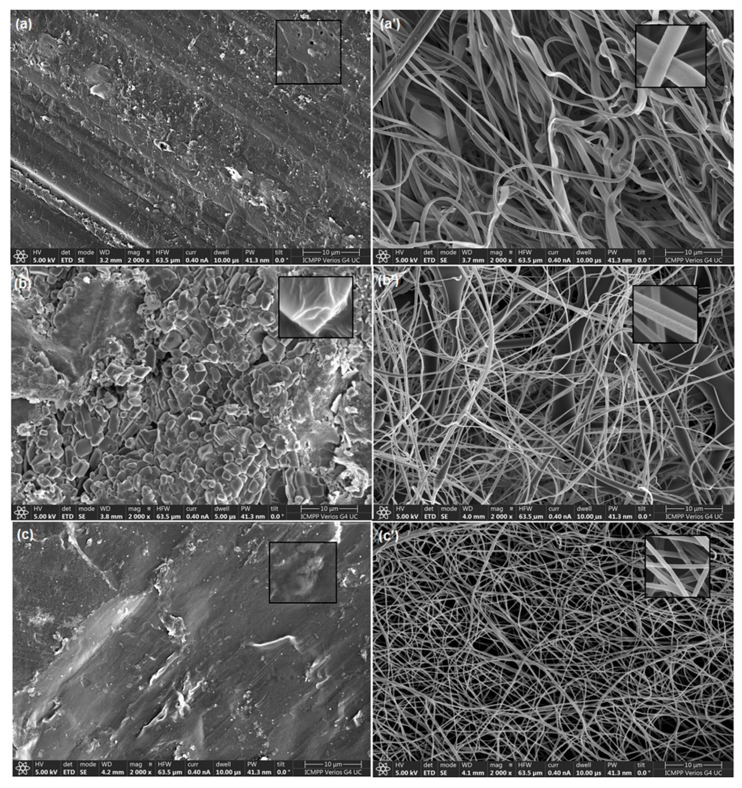 Ijms 23 04721 g008 550