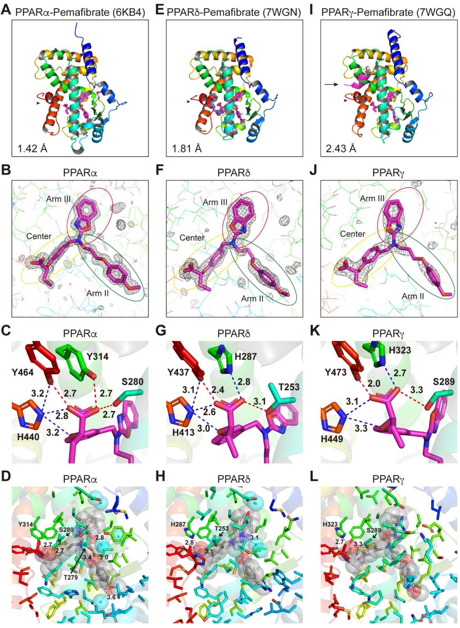 Ijms 23 04726 g006 550