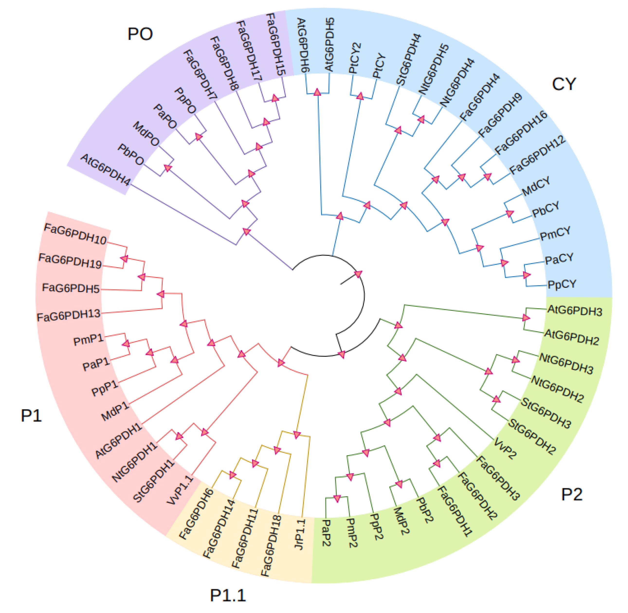 Ijms 23 04728 g003 550
