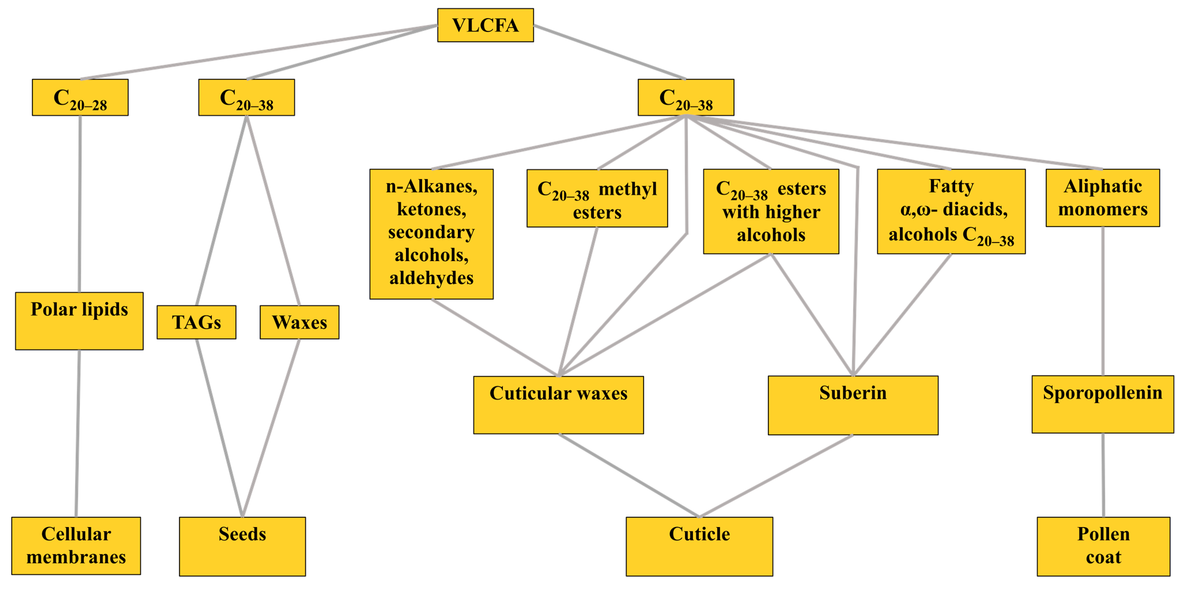 Ijms 23 04731 g001 550