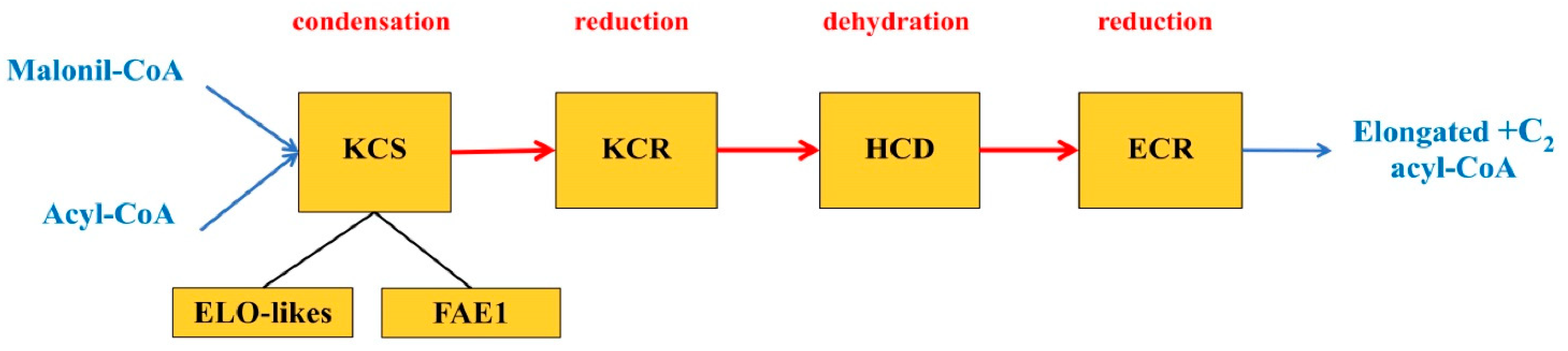 Ijms 23 04731 g003 550